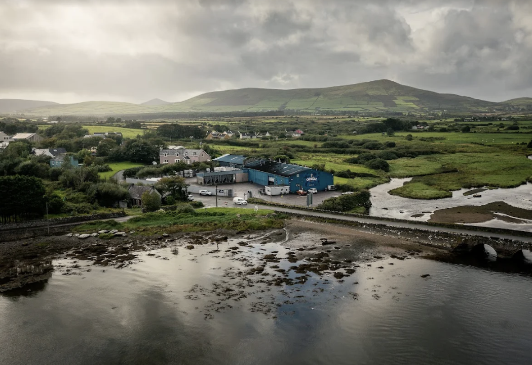 An Evening with Dingle Distillery
