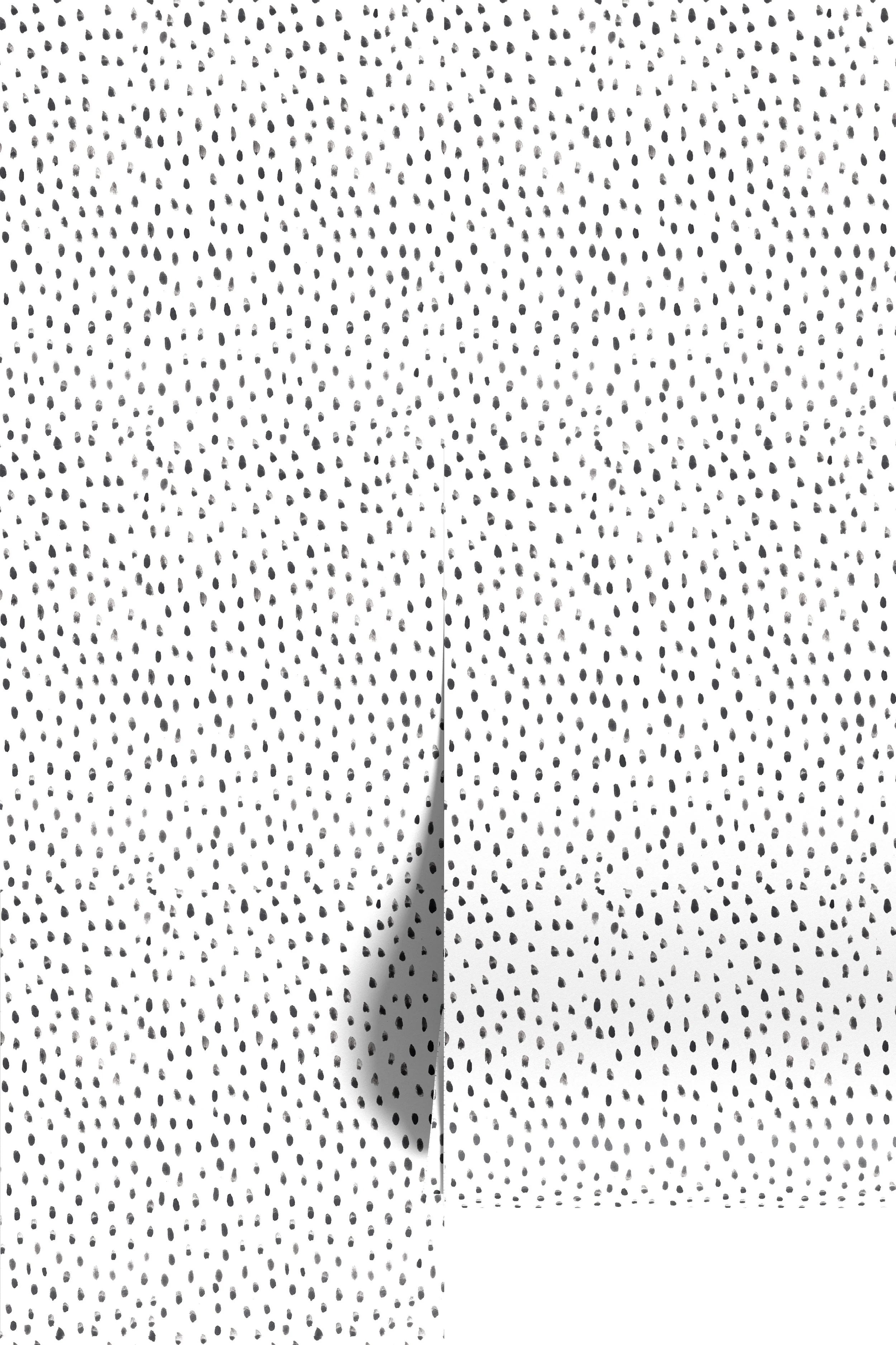 TashiSarahPatterns_S002_AlisoCanyon_Black_Wallpaper.jpg