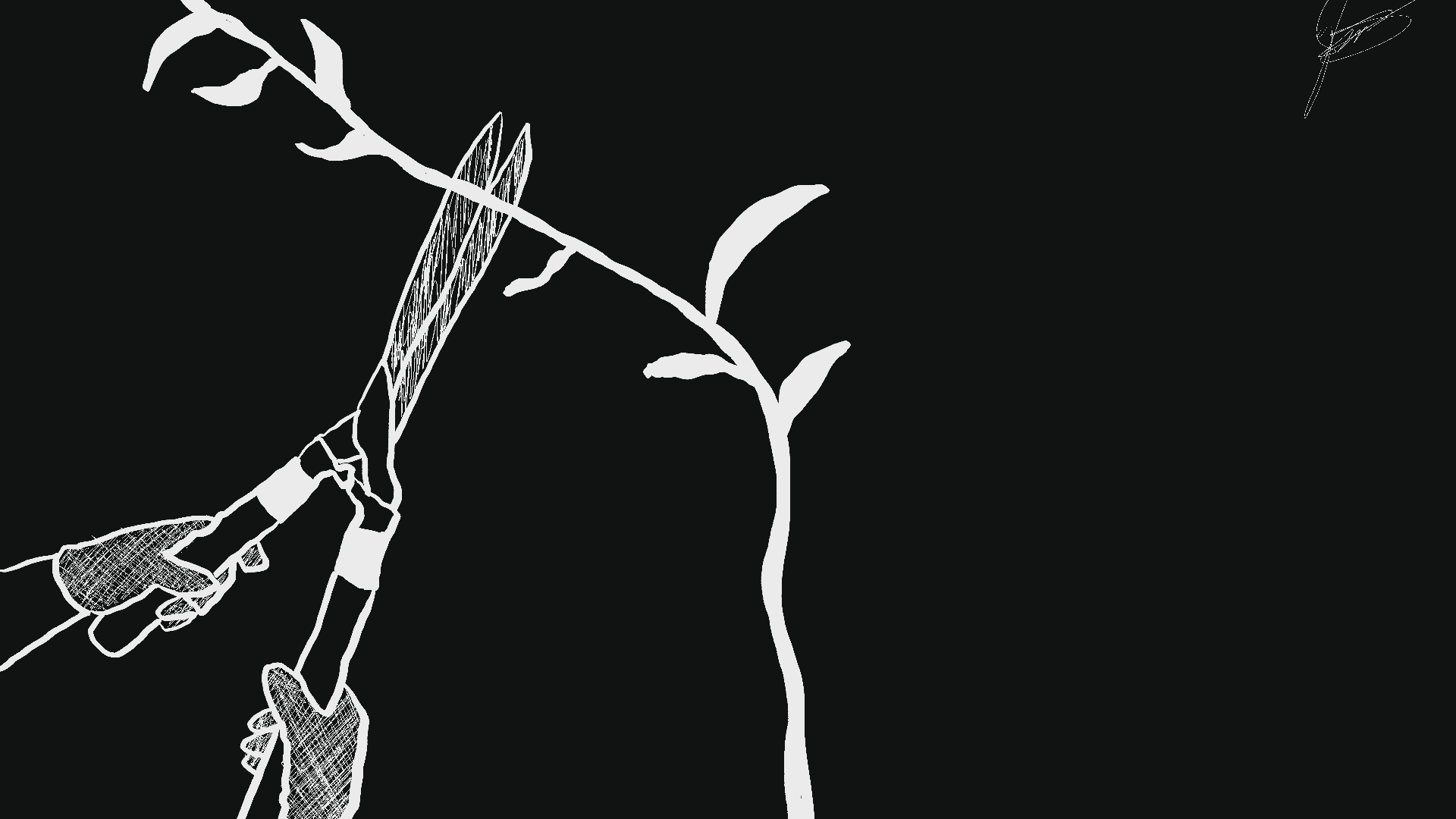 prunning a significant part of my life…