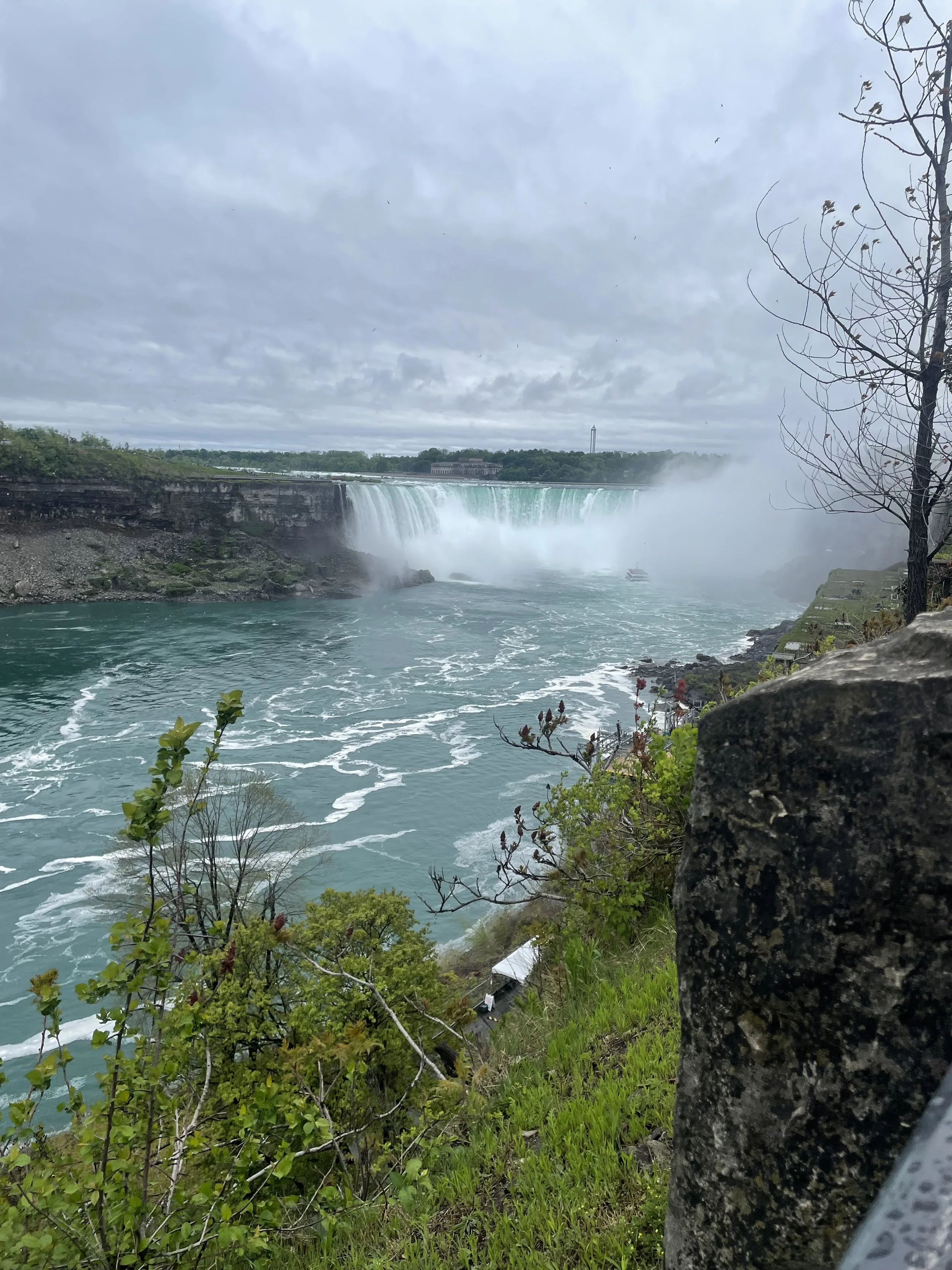 IMG_4564.jpeg