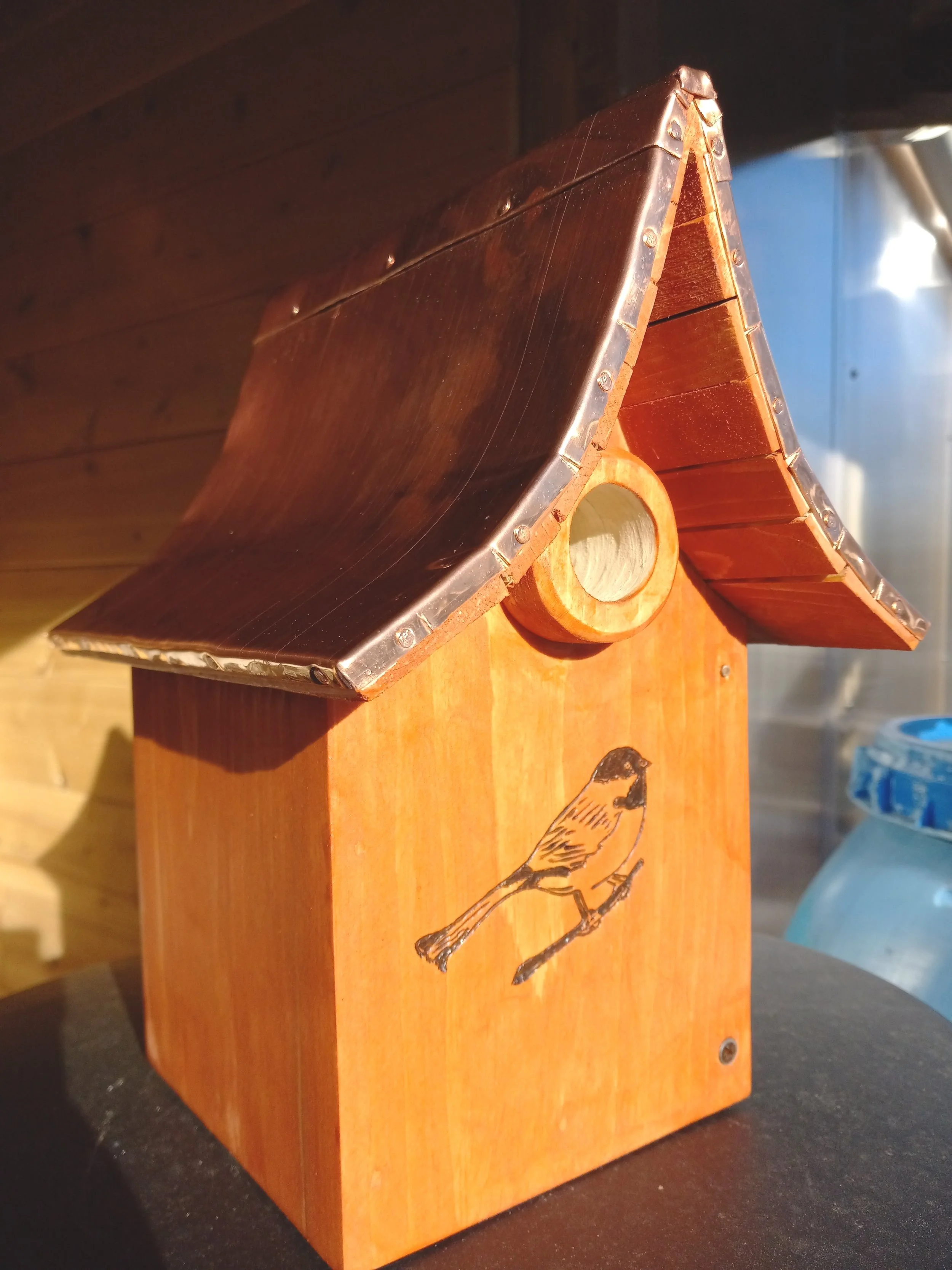 Chickadee + Copper