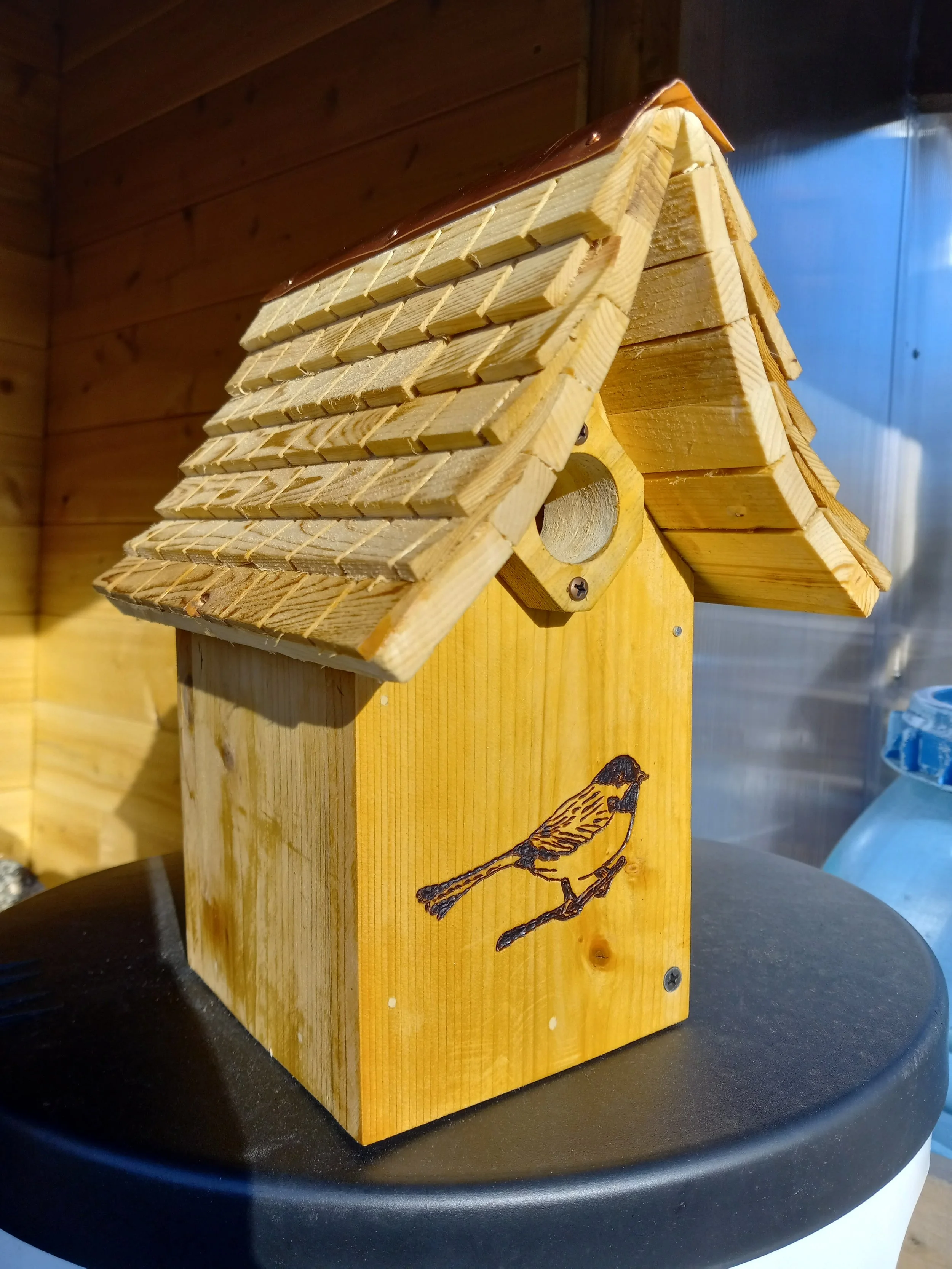 Chickadee + Shingles