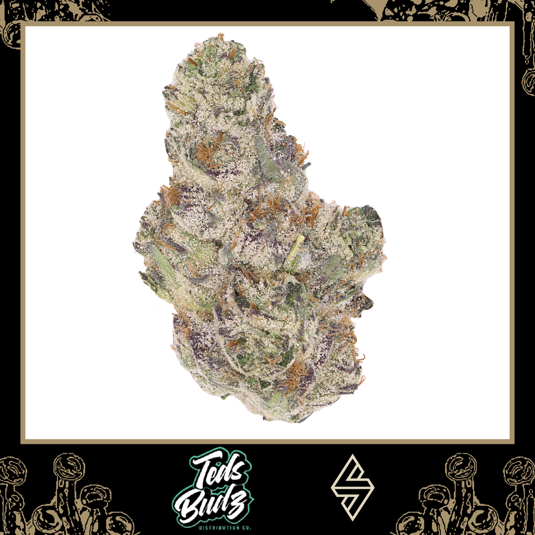 TED’S BUDZ TAKING IT TO THE NEXT LEVEL — Symbiotic Sacramento