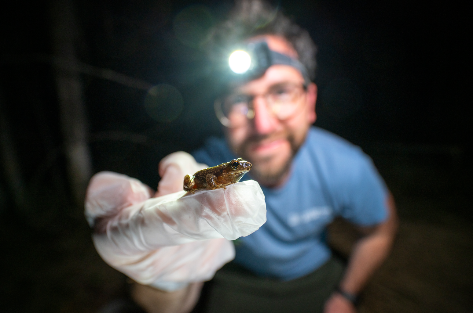 A man wearing a headlamp and glasses holds a small frog on a white glove, with a dark background. Science