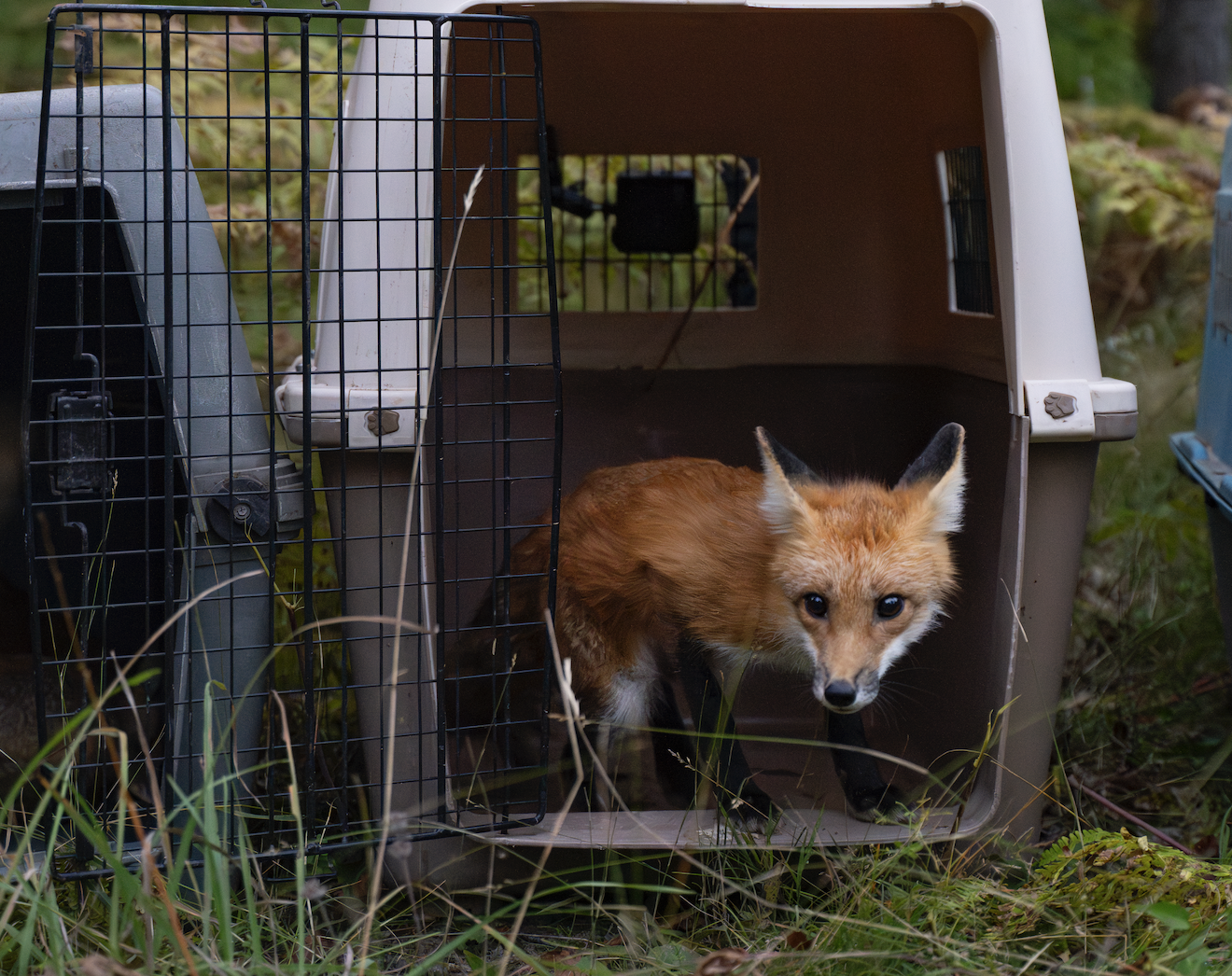 Our 2025 Impact Report