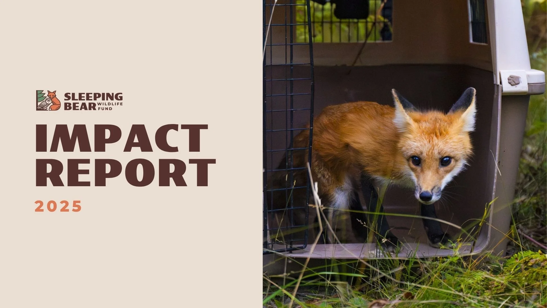 Our 2025 Impact Report