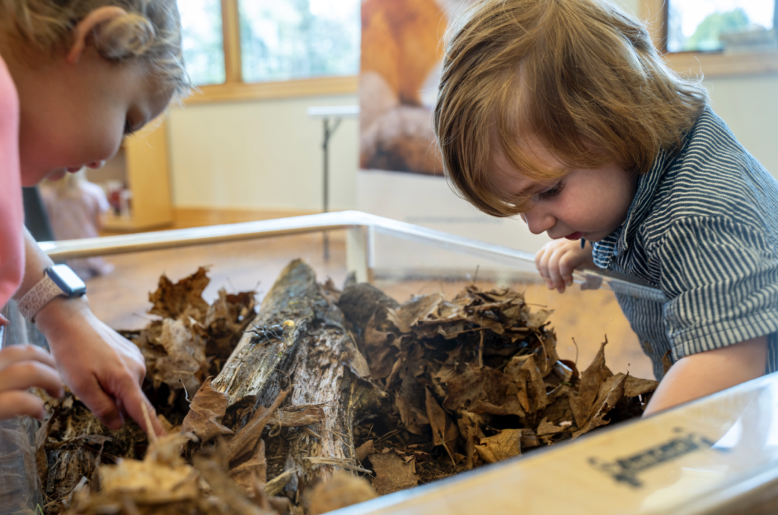 Unearth a Story with Sleeping Bear Wildlife Fund
