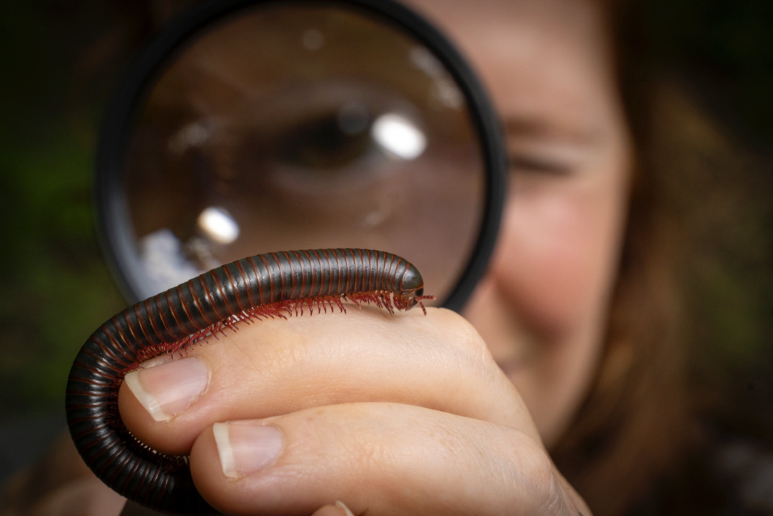 Unearth a Story with Sleeping Bear Wildlife Fund - The Dirty Dwellers