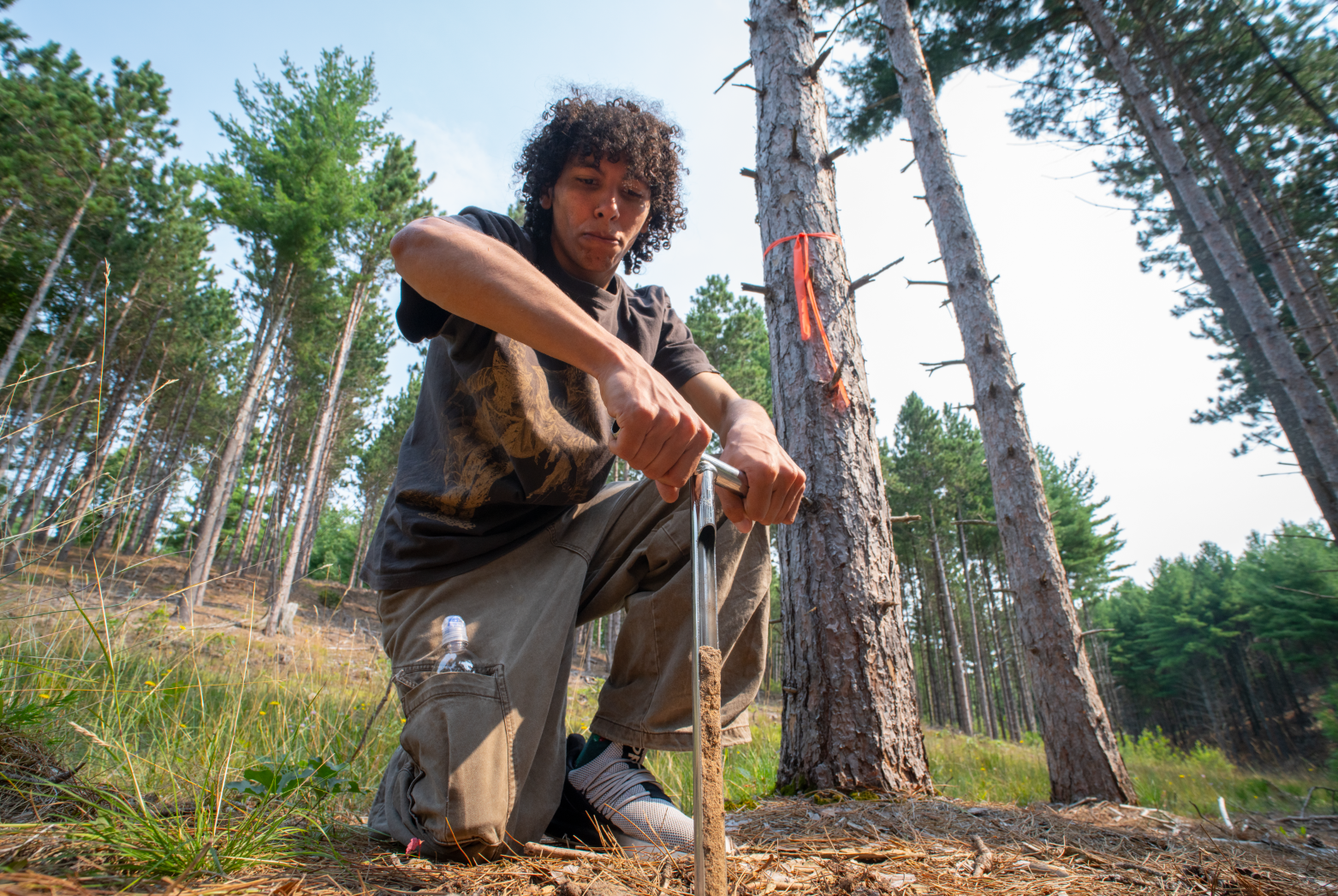 sleeping bear wildlife fund member helping make an enclosure for rescues in michigan