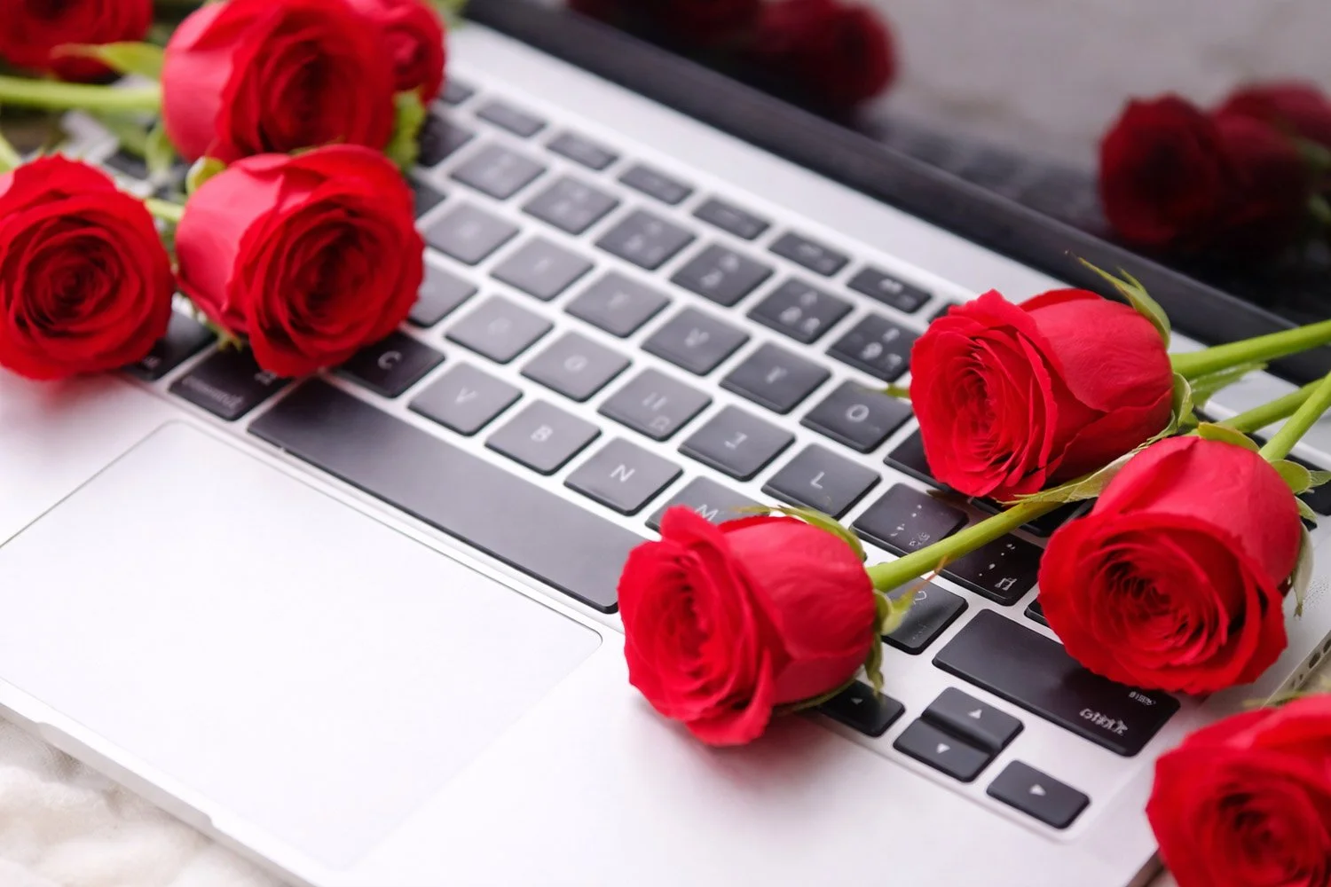 Roses and laptop writing blog