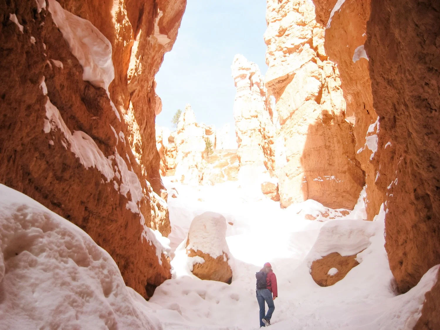 Nourishing Your Winter Creativity