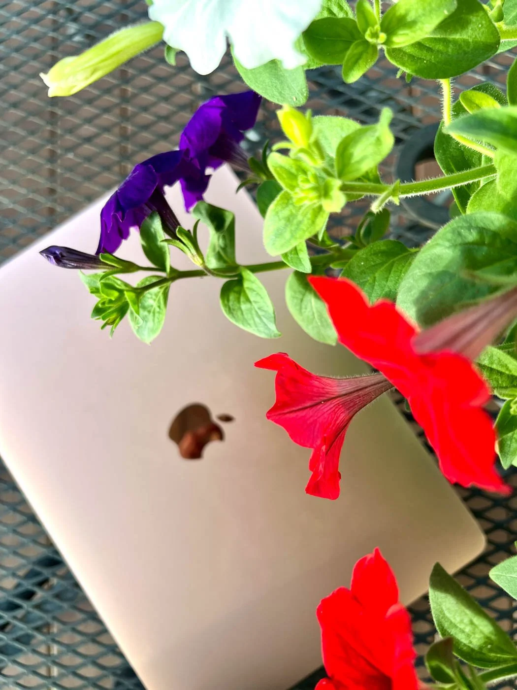 a writer's laptop with flowers