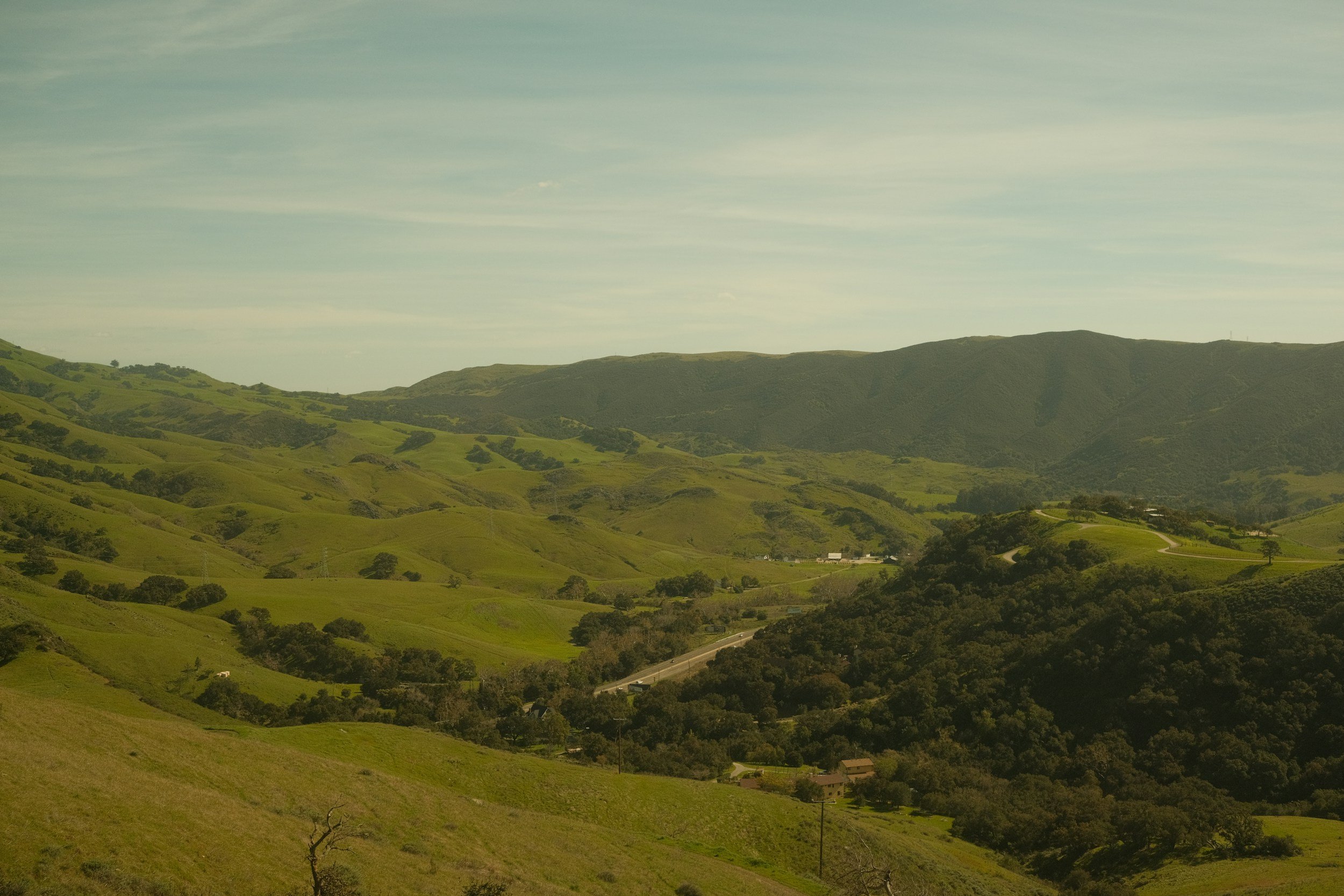 rolling green hills lafayette