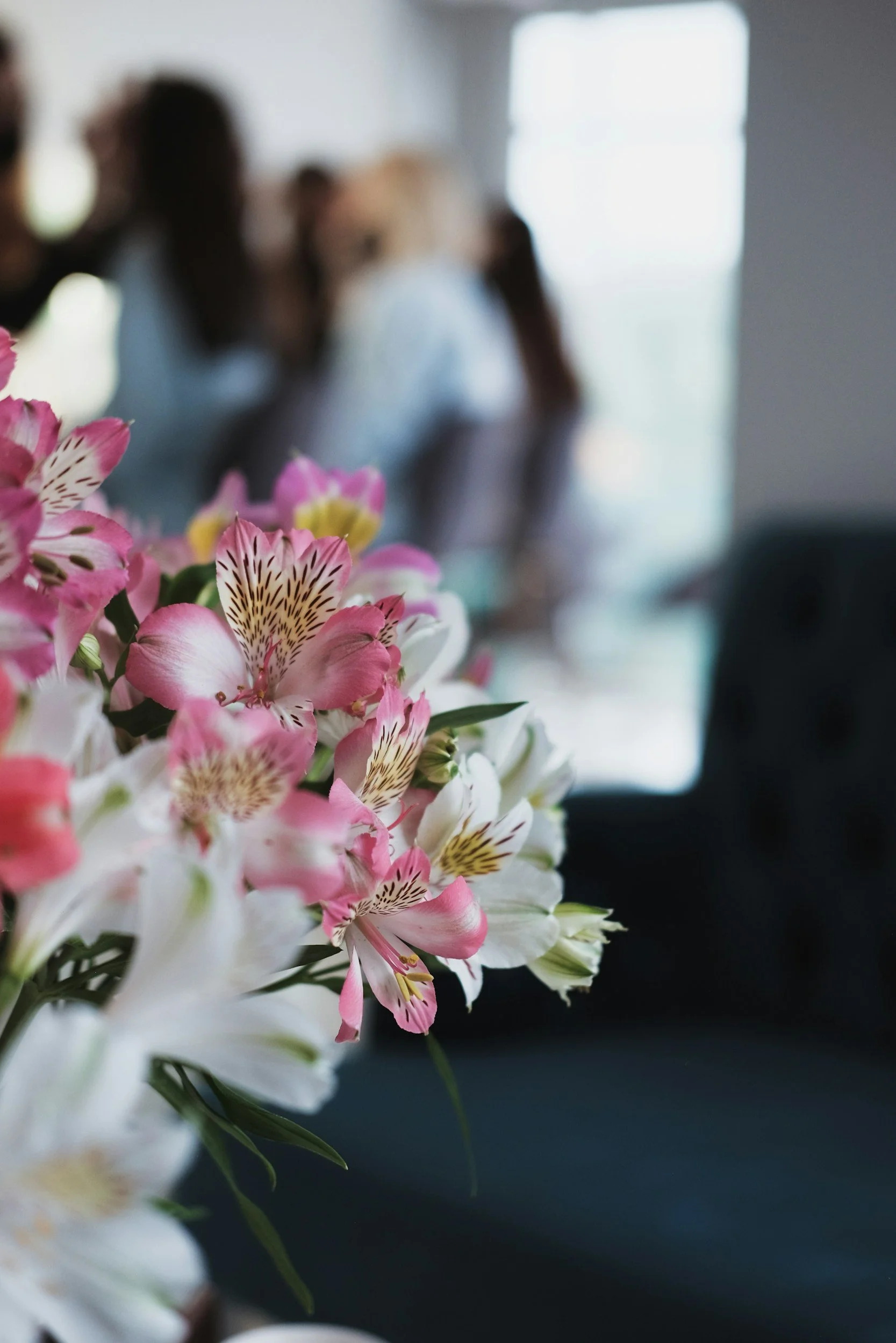 Close-up of pink and white flowers with green leaves in the foreground, blurred silhouettes of people in a room with a bright window in the background.