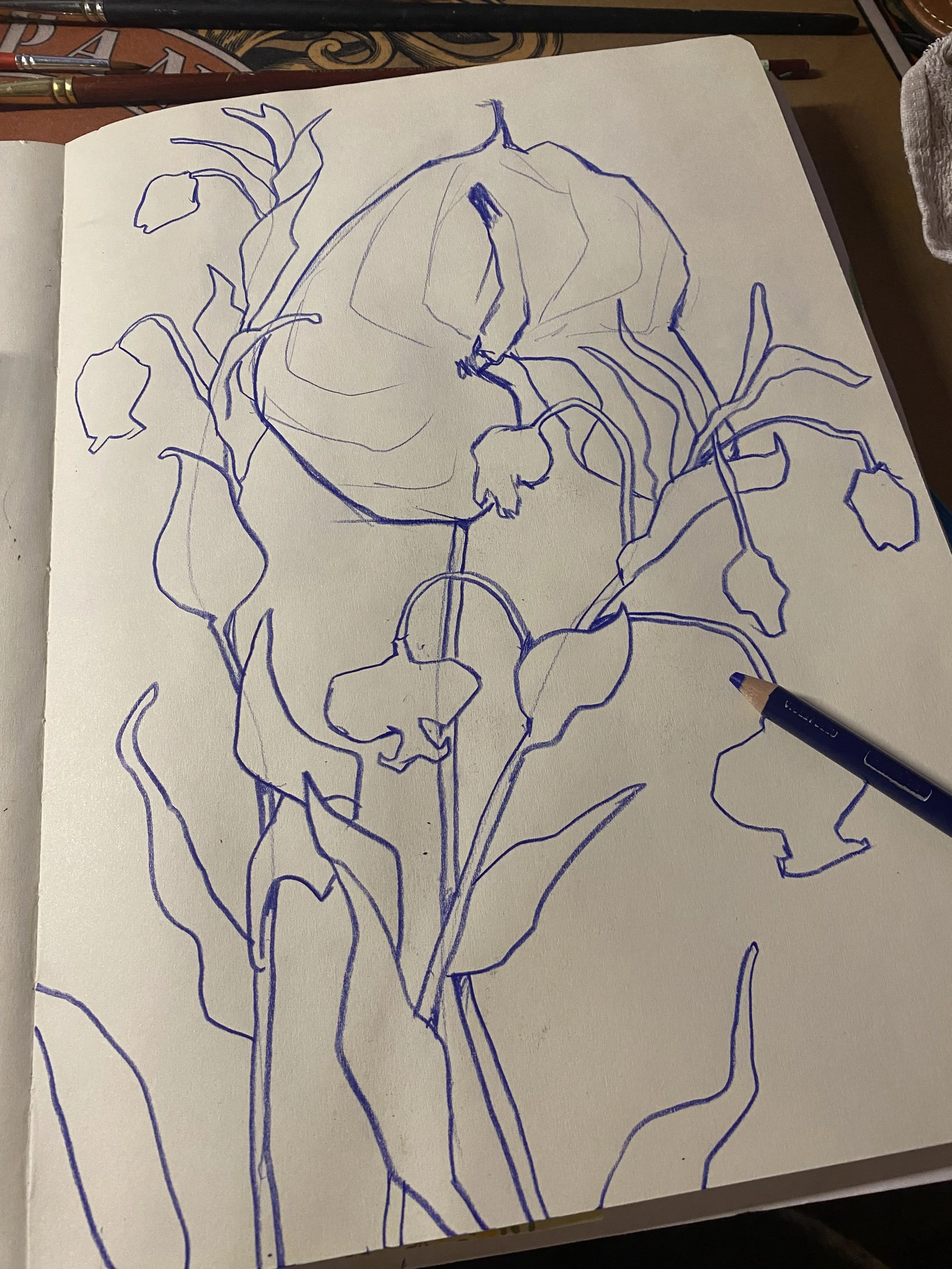 IMG_0624.jpeg