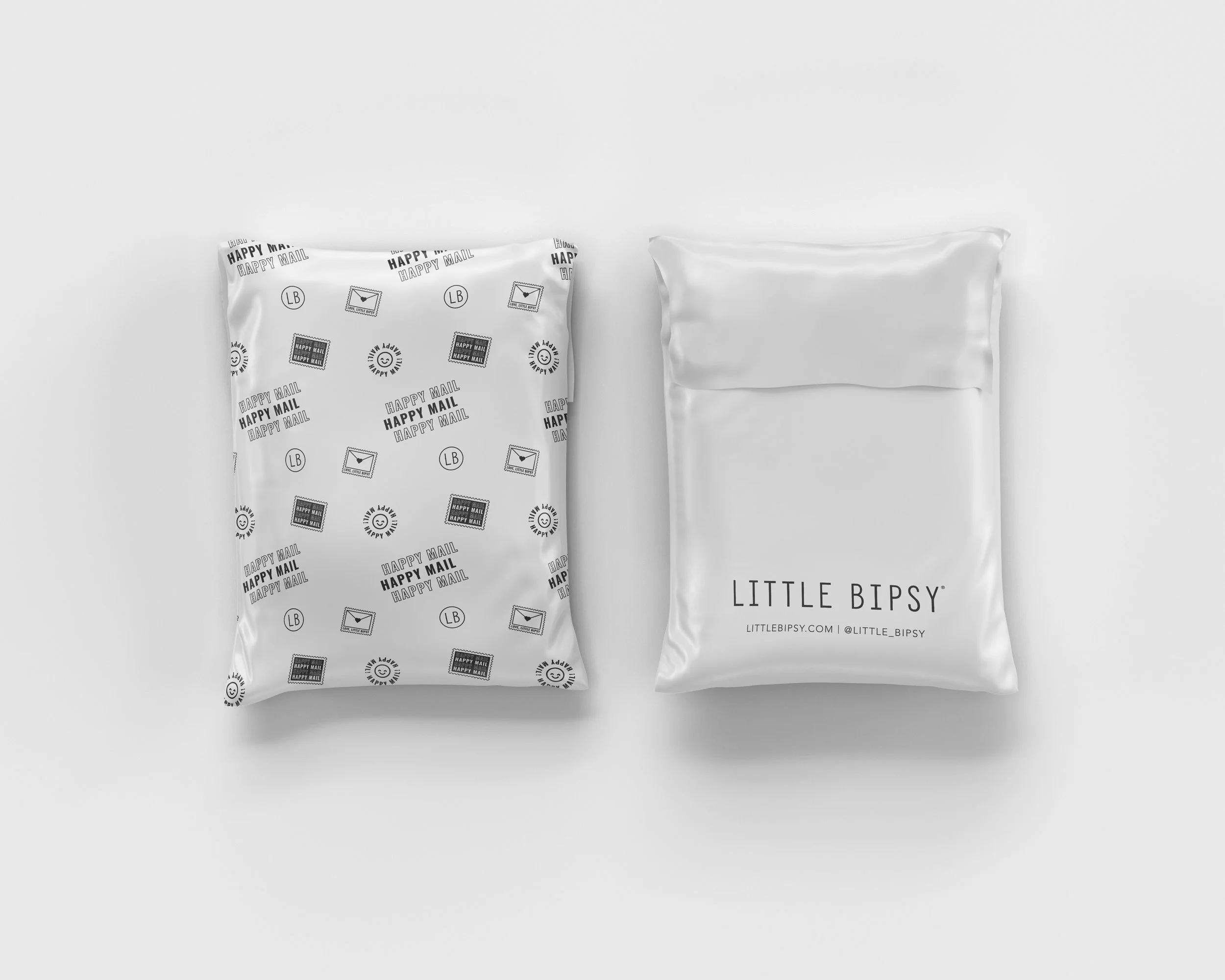 Free Matt Poly Mailer Bag Mockup.jpg