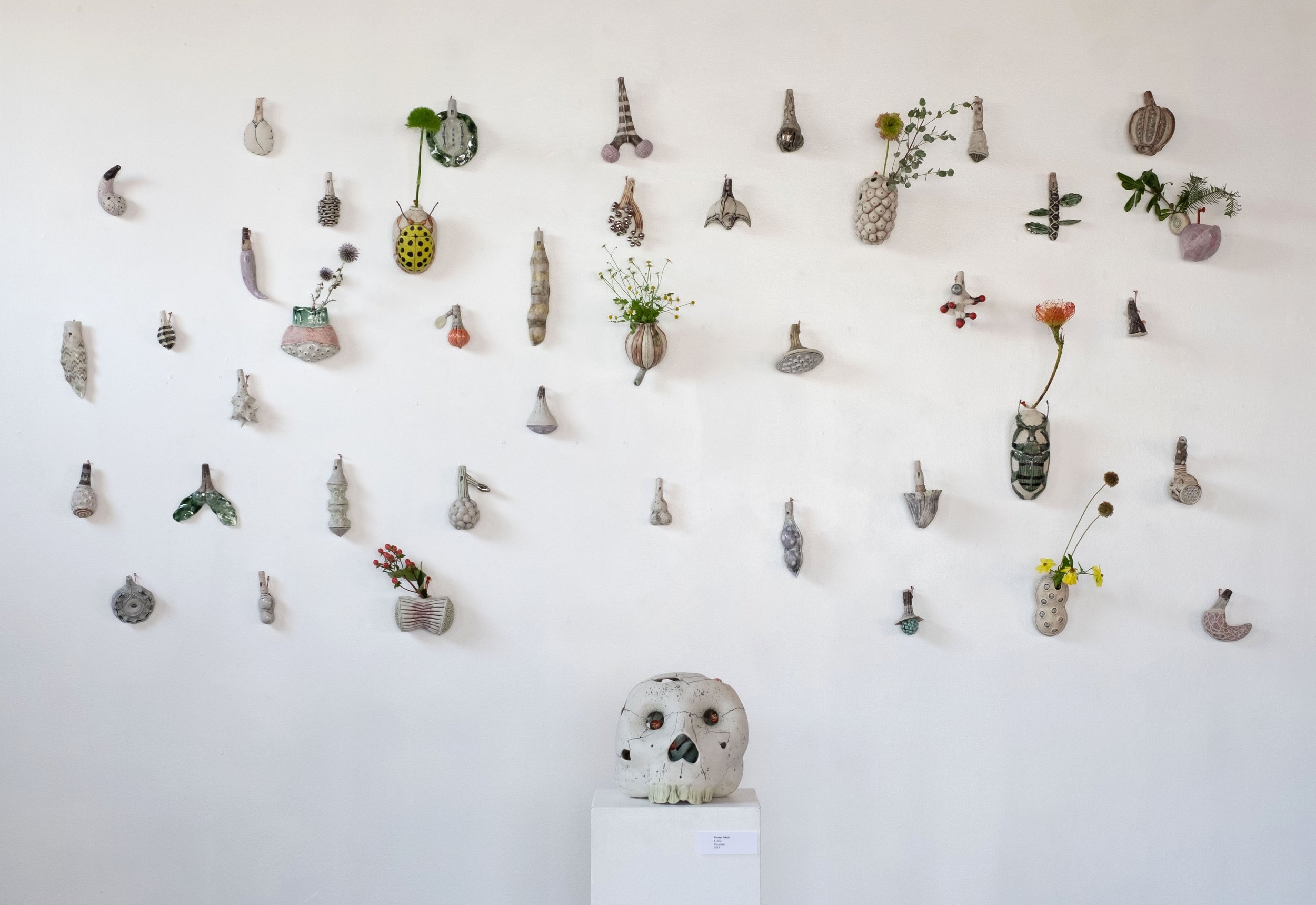 flower skull and seedpods.jpg