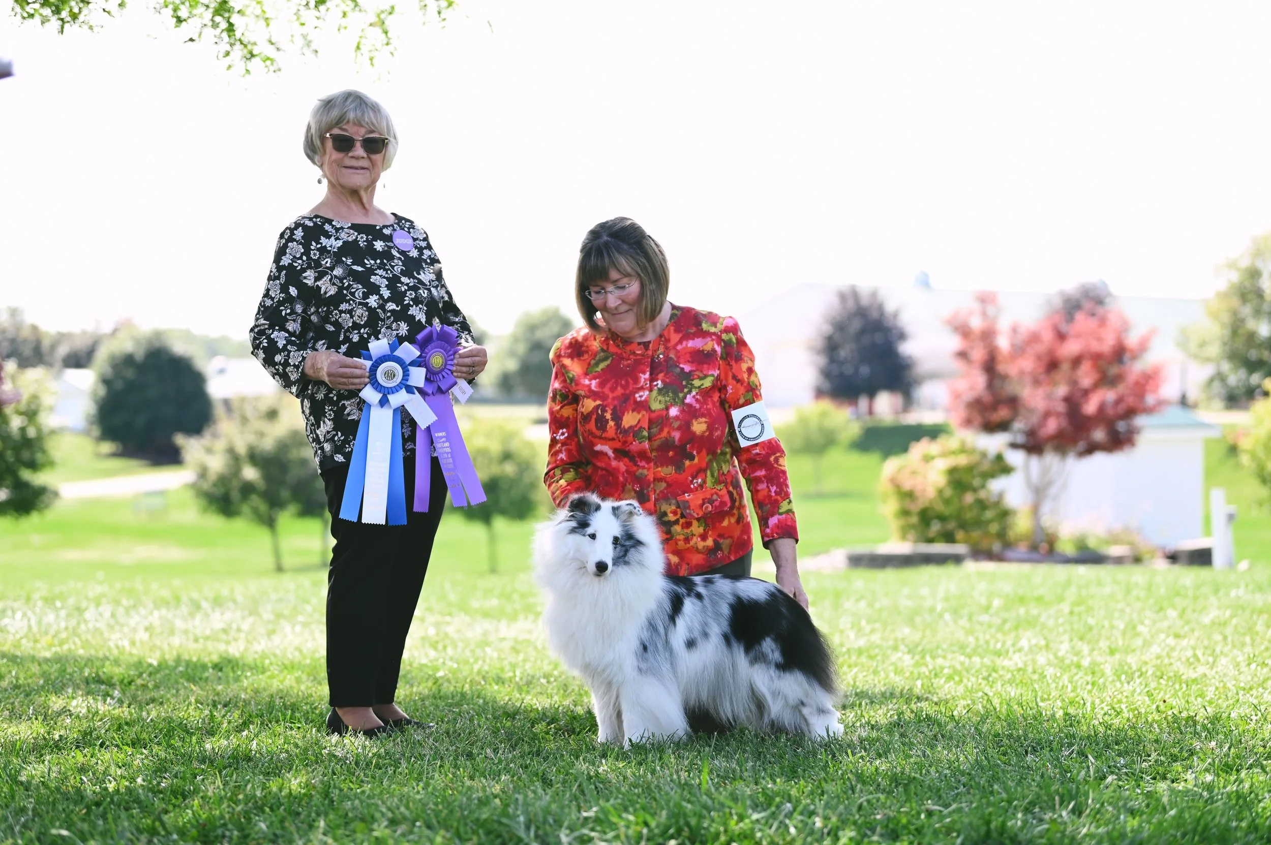 Bunny Detroit 2025 Judy Kelsey copy.jpg