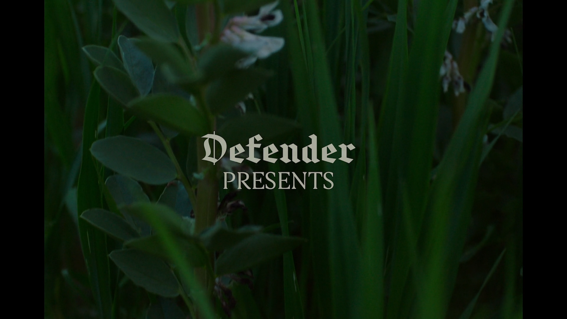 VS--OfftheRecordJuliafromEvenOddonVimeo-0’04”.png