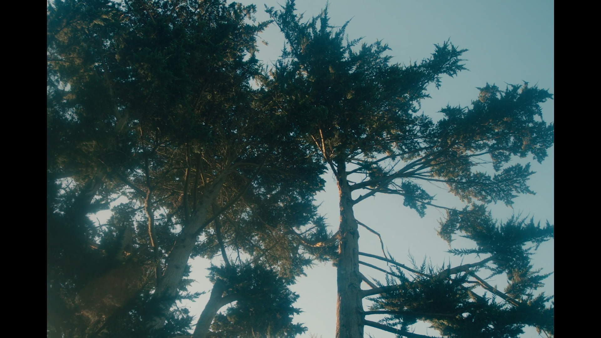 VS--OfftheRecordJuliafromEvenOddonVimeo-4’41”.png