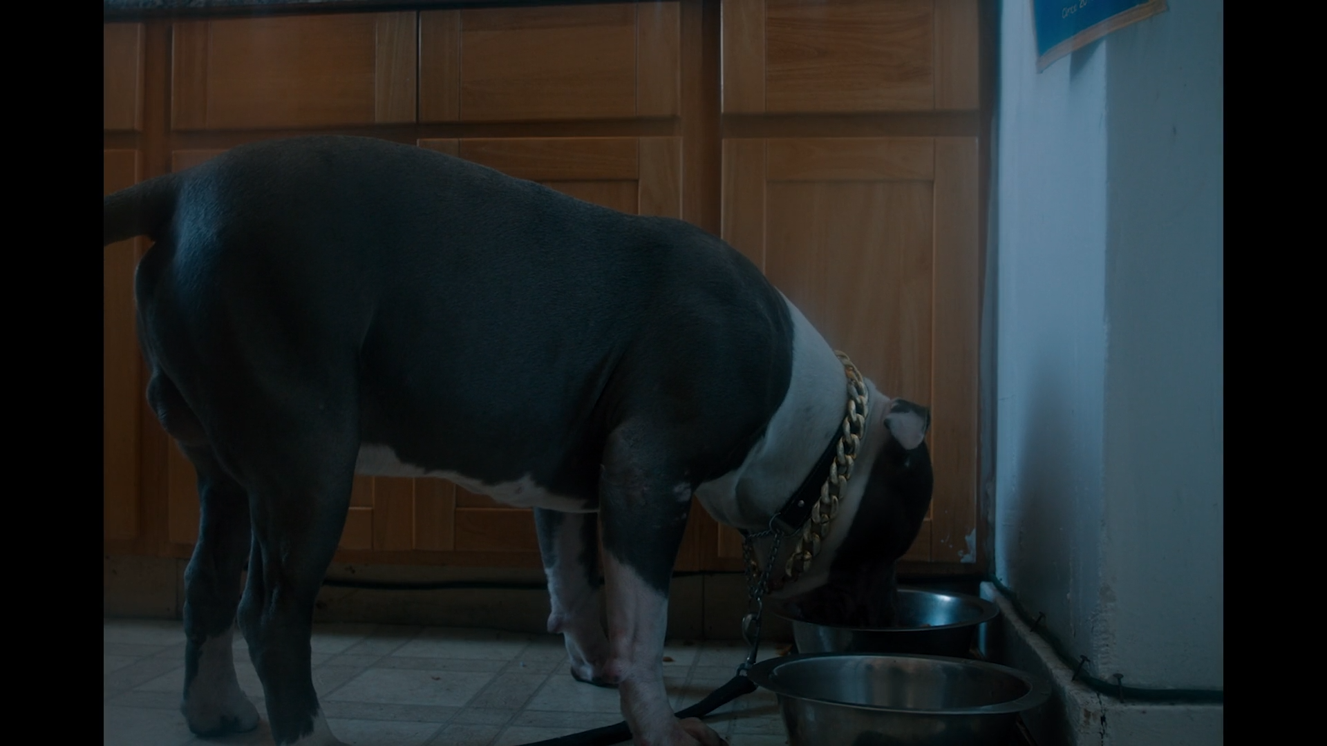 VS--OfftheRecordJuliafromEvenOddonVimeo-1’01”.png