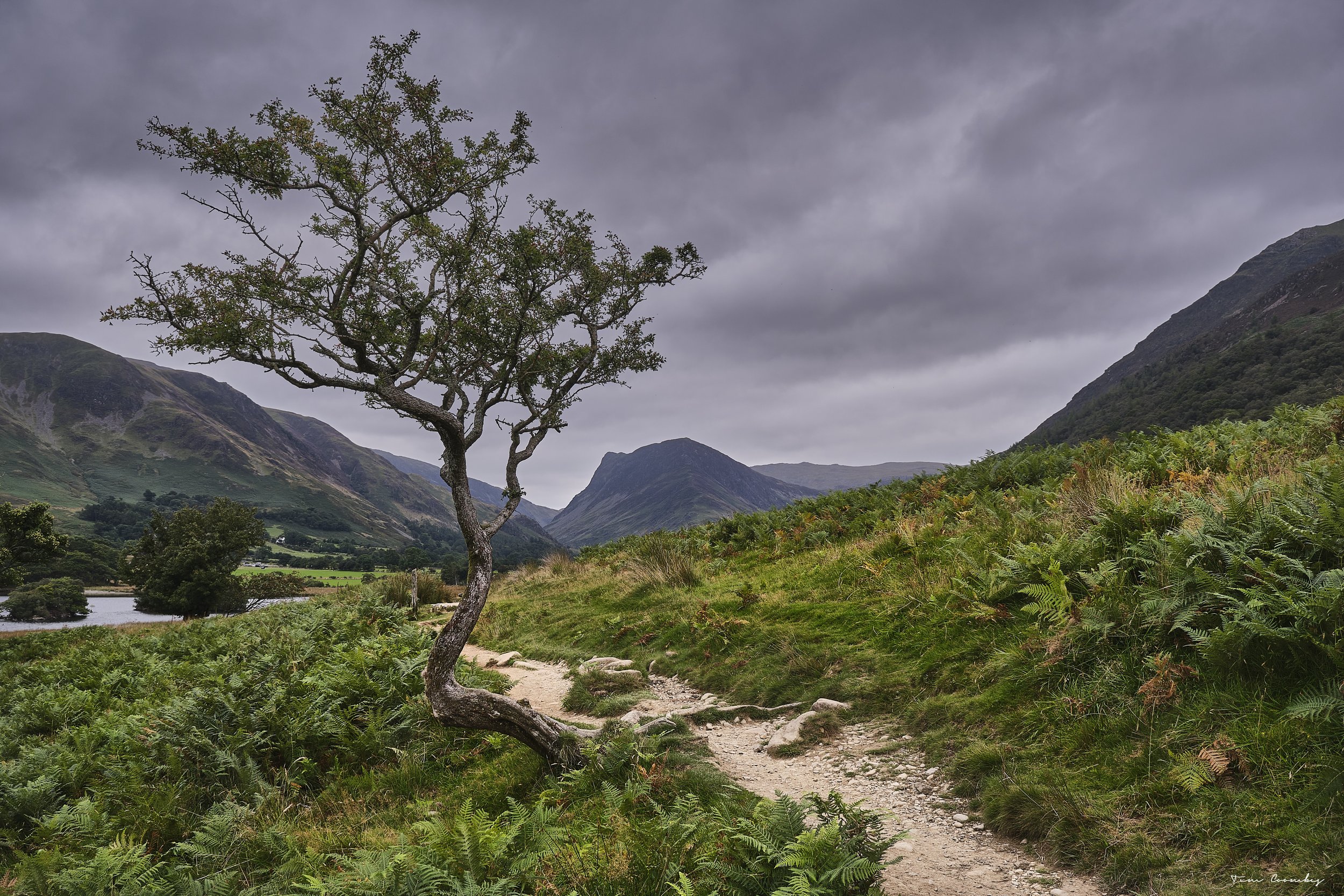 Pathway to Buttermere.jpg