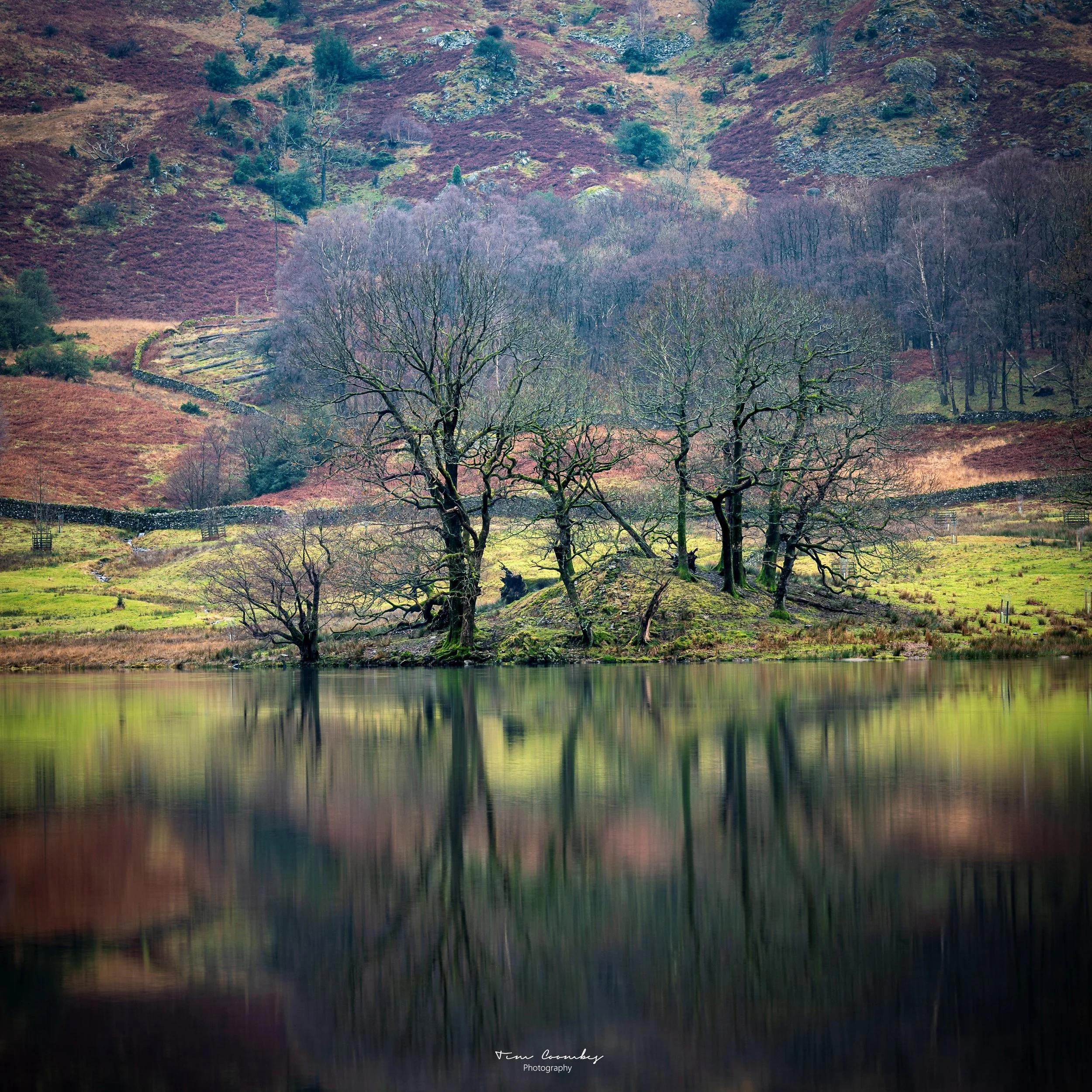 Rydal Reflection - Rydal Water