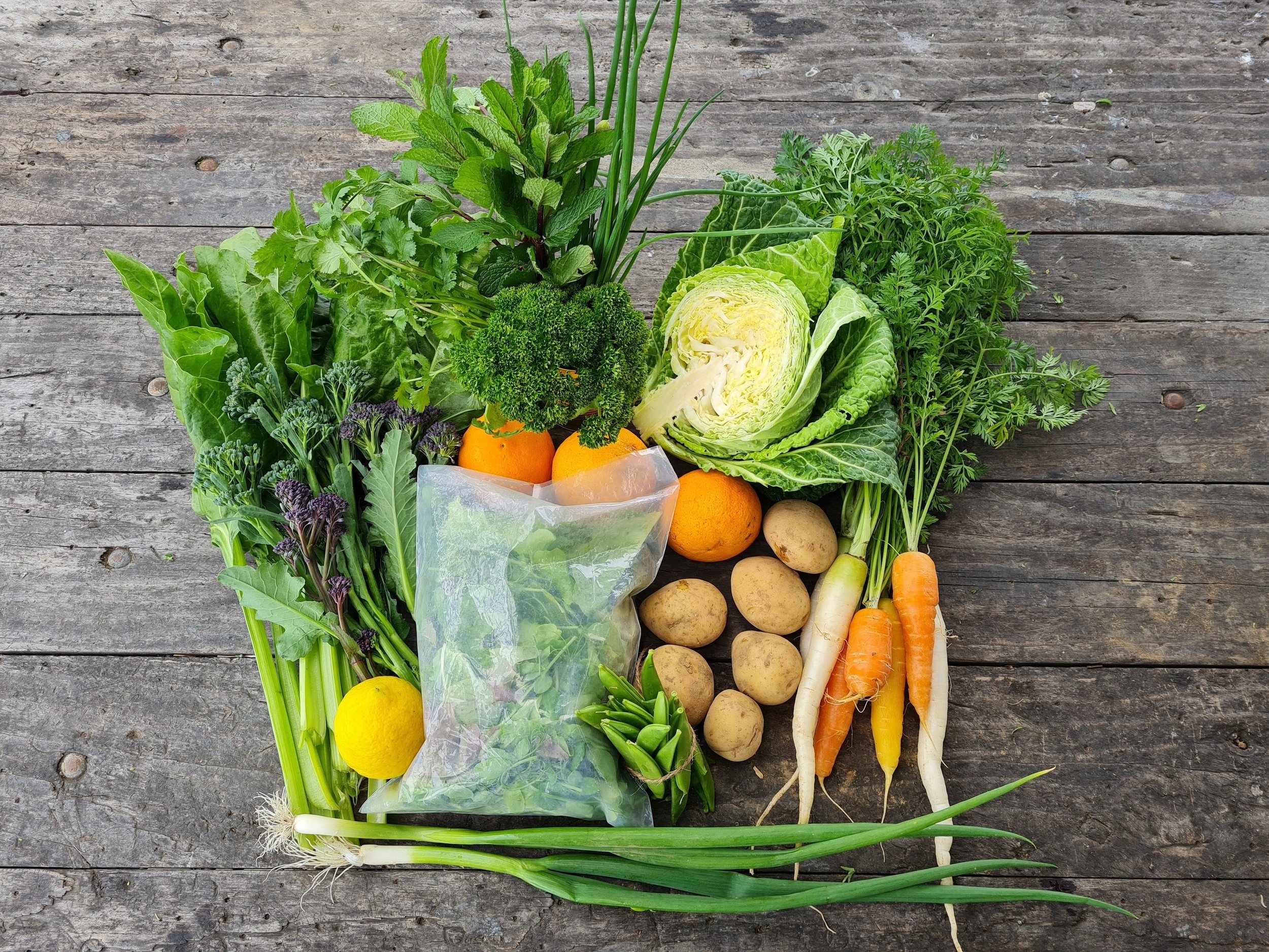 small+Spring+vege+box+contents.jpg
