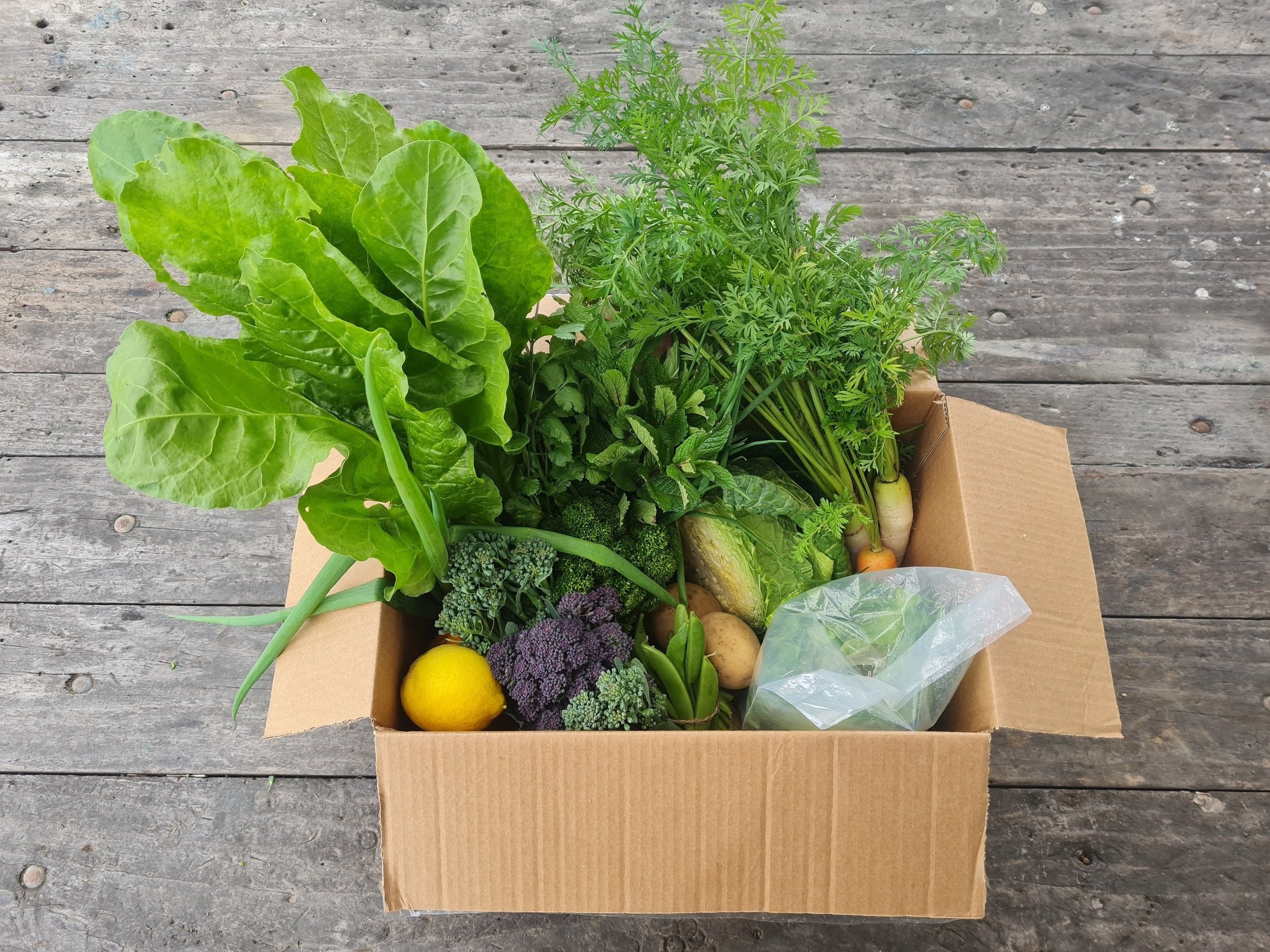 small+Spring+vege+box.jpg