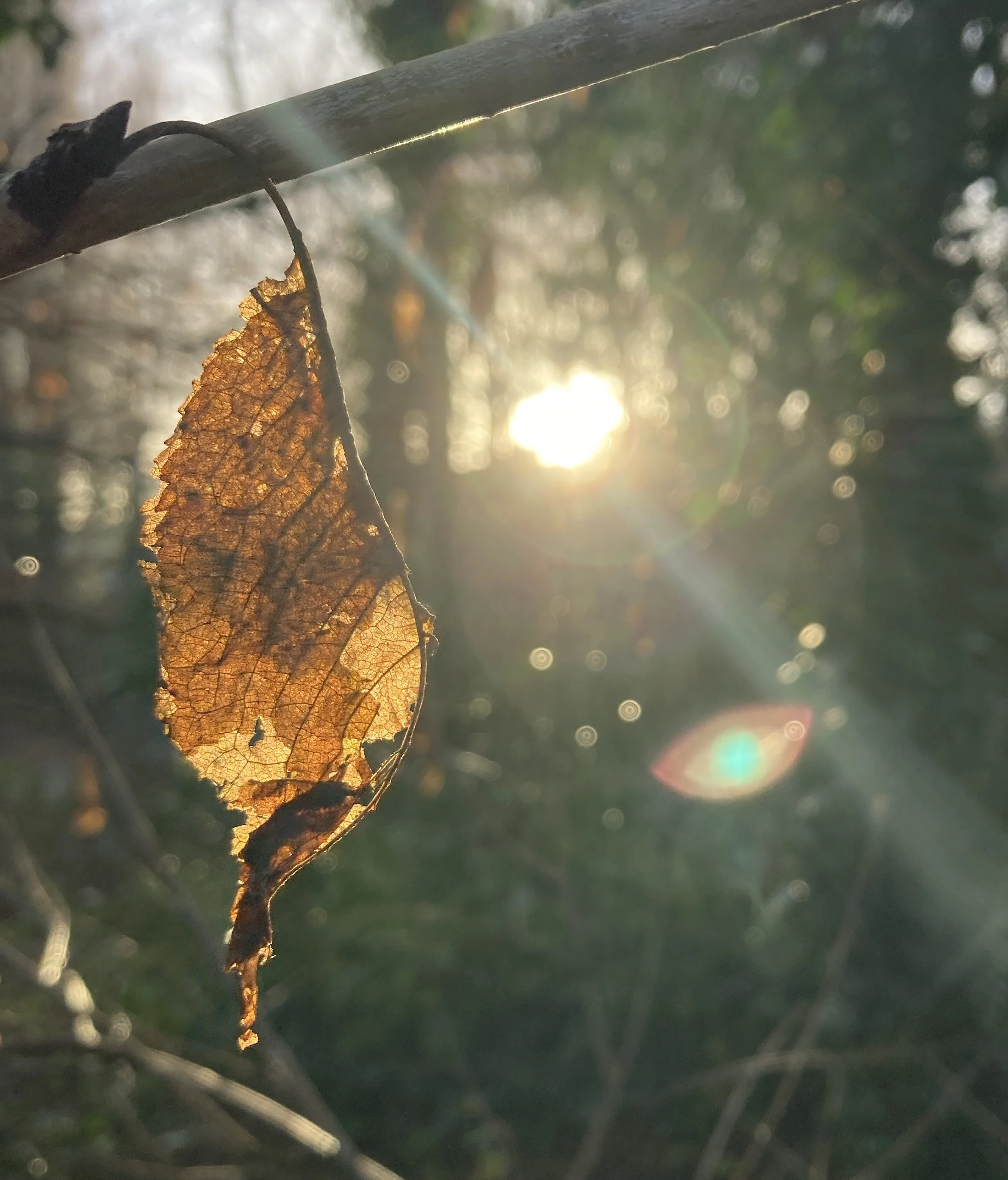 Why shall I limit myself?