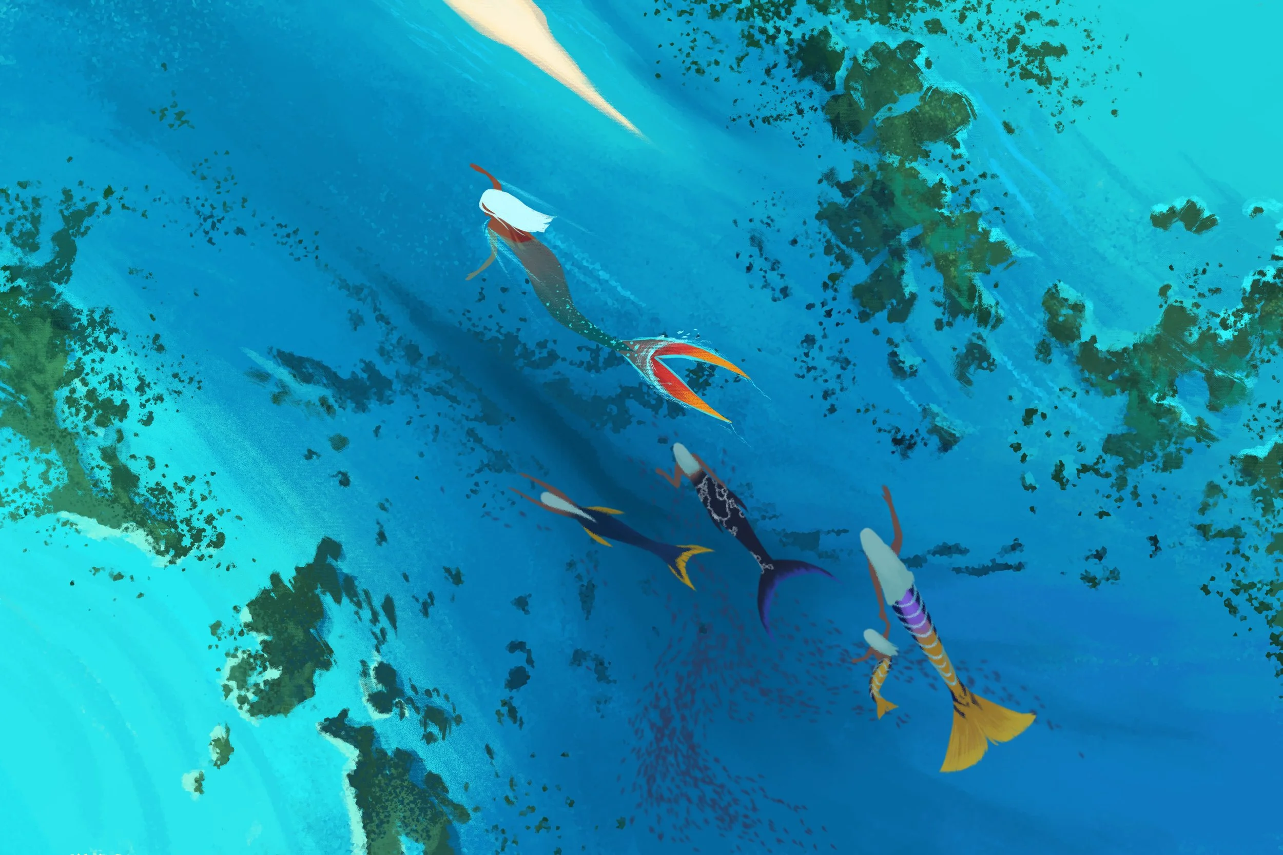 MermaidSeries_mermaids-swimming-birds-eye-view.jpg