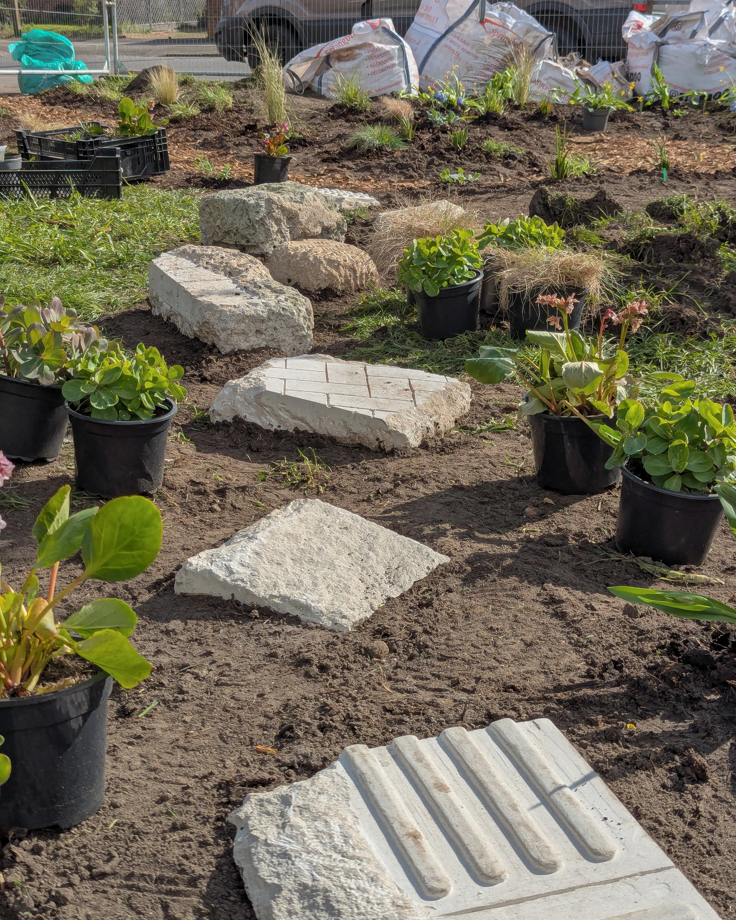 Community Planting Day in Morden