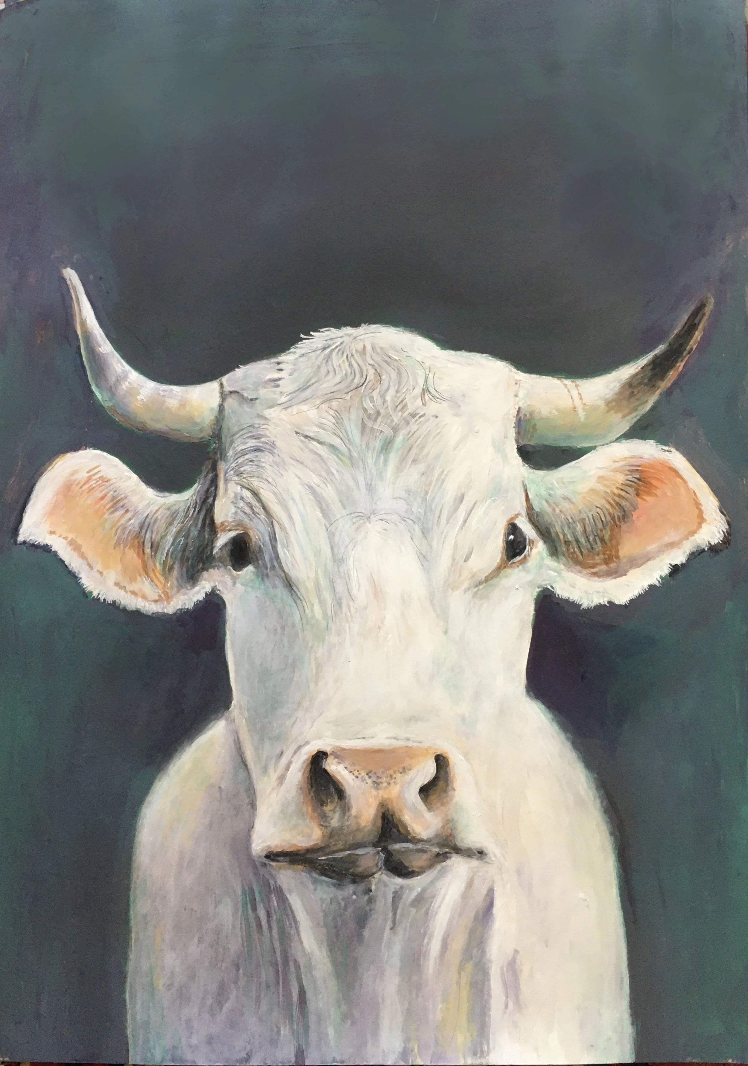 little cow.jpg