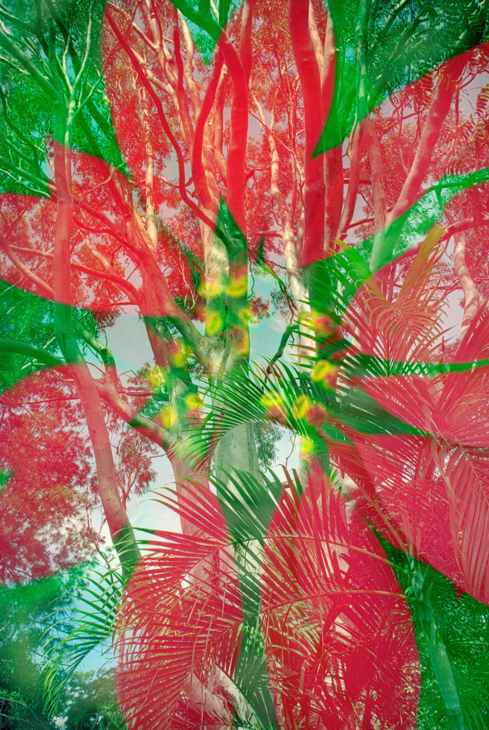 2025, Color Film Double Exposed