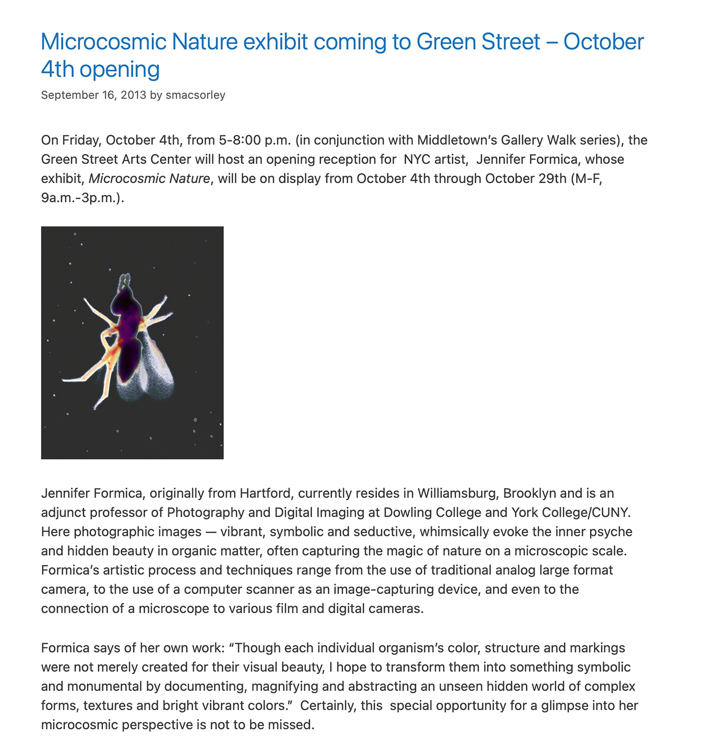 Microcosmic Nature, Green Street Art Center, Wesleyan University, Middletown, Connecticut - Blog Post