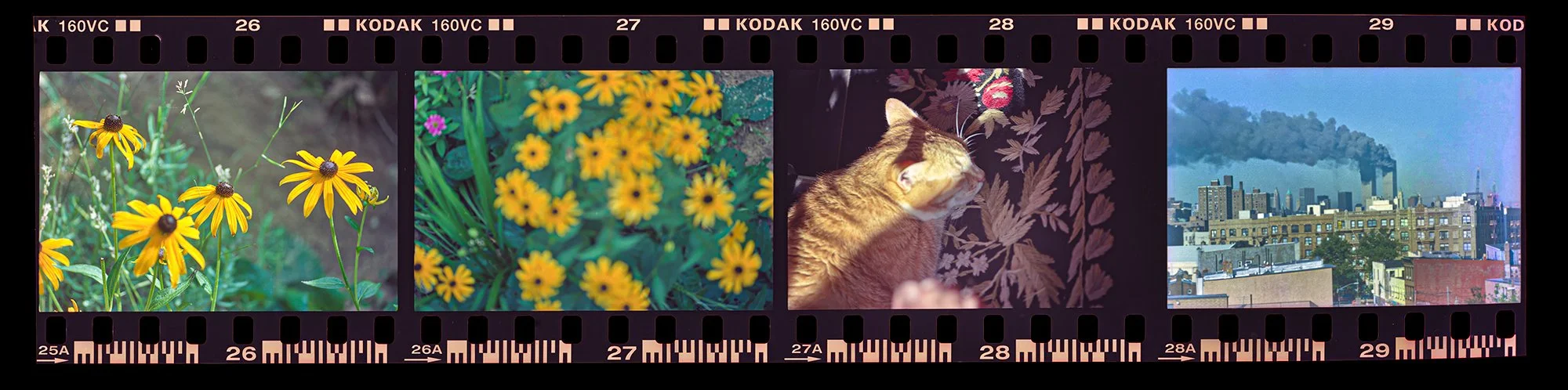 Film Strip, Before and on September 11, 2001