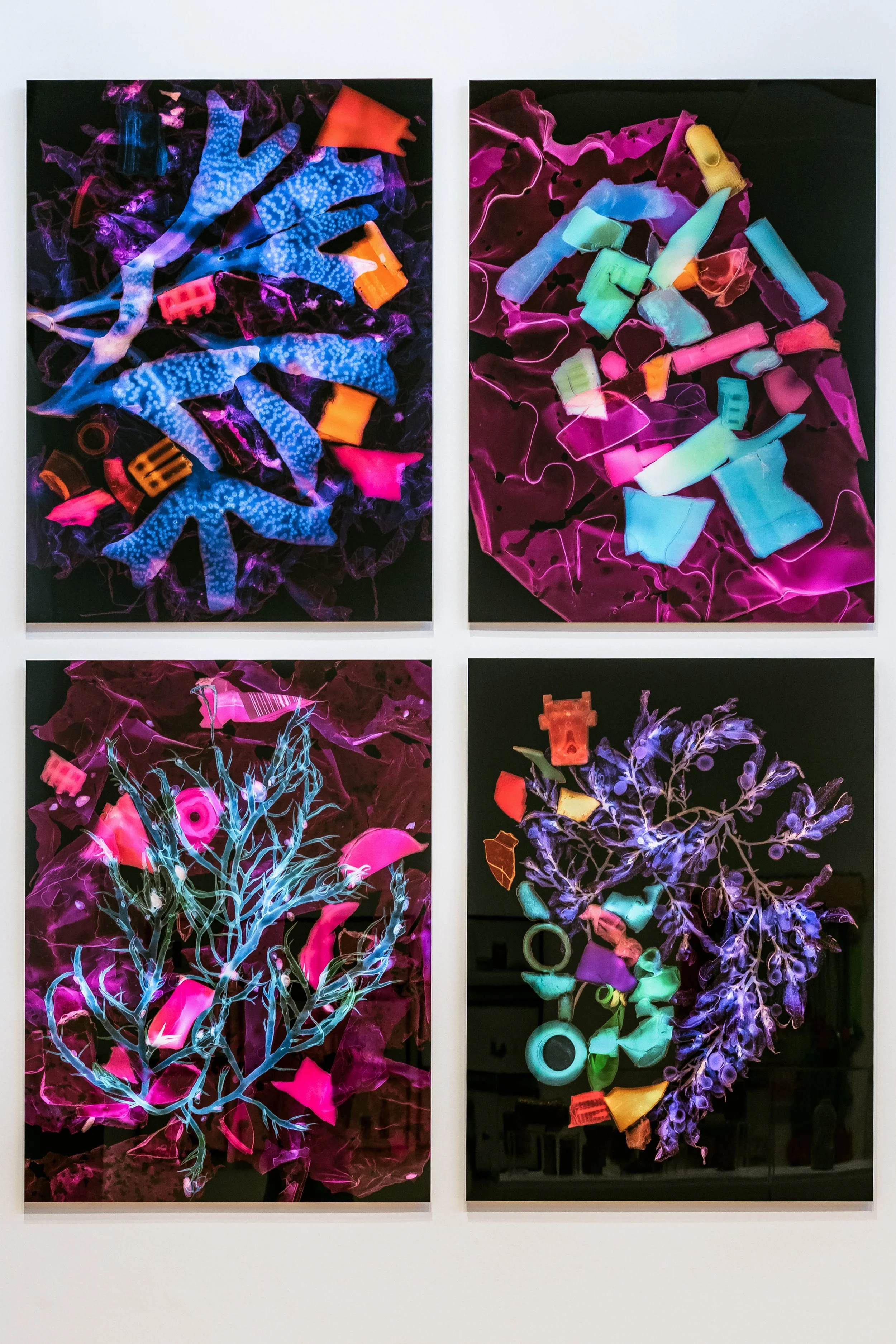 Consumed, Paul Robeson Galleries, Rutgers University, Newark, New Jersey, Curated by Professor Kevin Lyons, November 2025 - March 2026
Photo by Rachel Fawn Alban