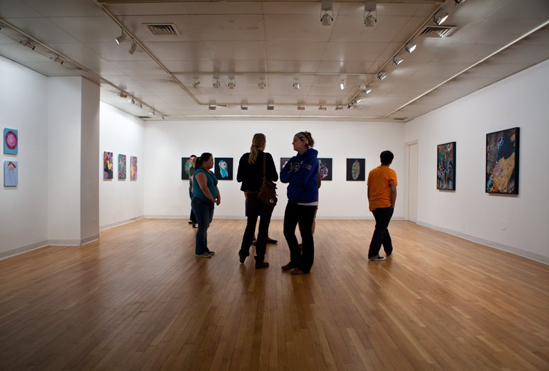 Microcosmic Nature, Fine Arts Gallery, York College/ CUNY, Queens, New York, 2011