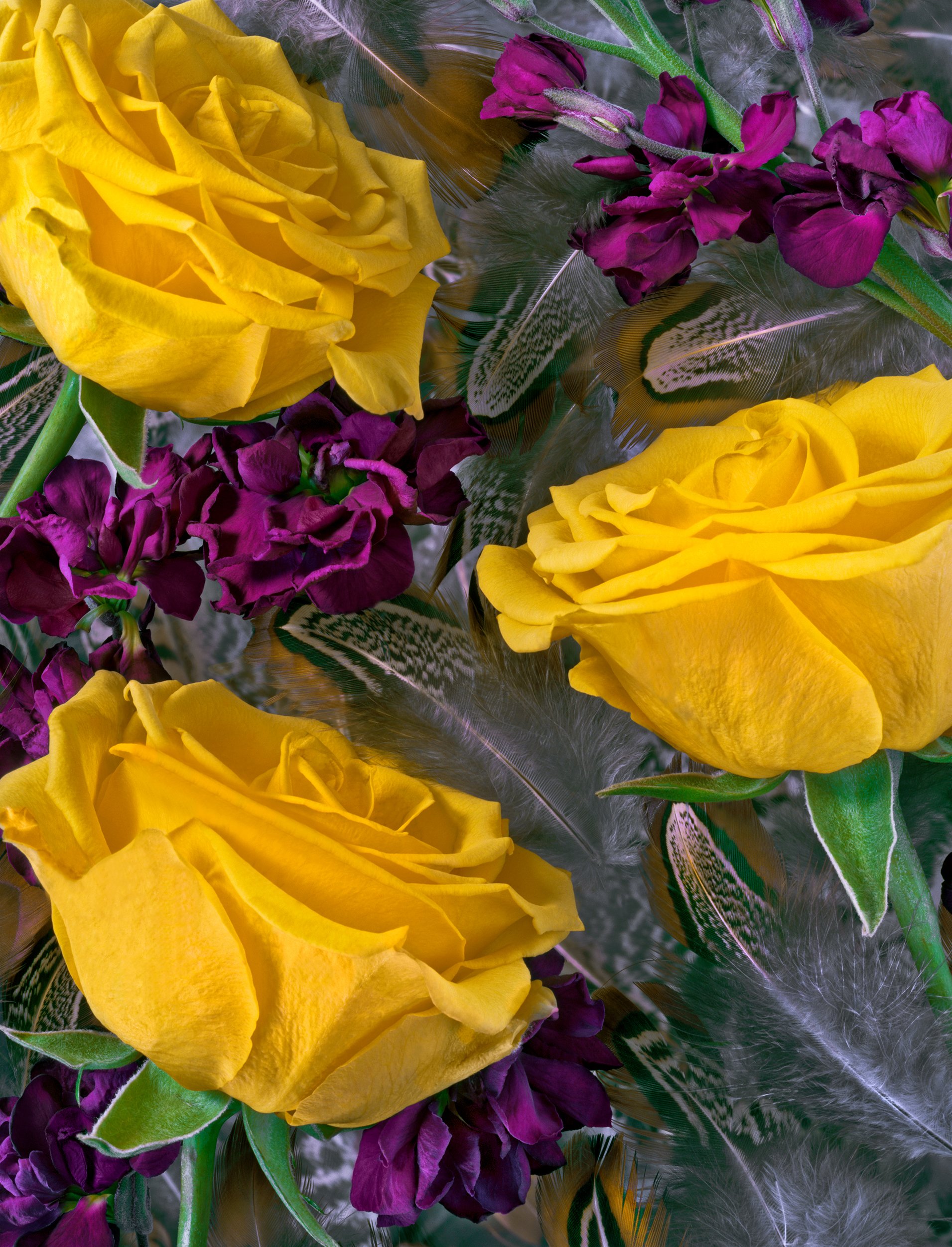 Untitled, 2015, 24" x 19" - Archival Pigment Print
