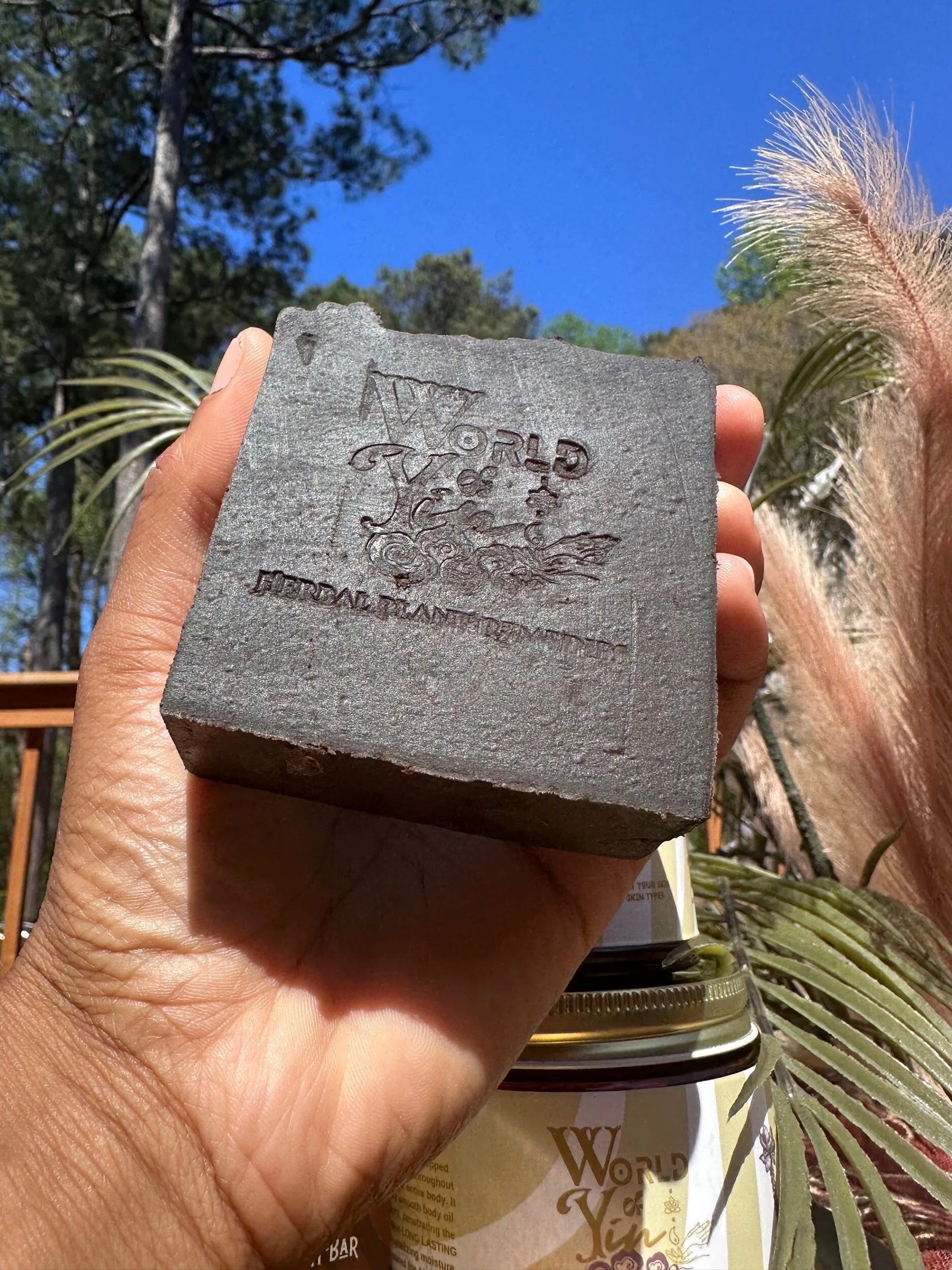 240E4FC8-1E43-4AE7-A7D2-9AF75669B483