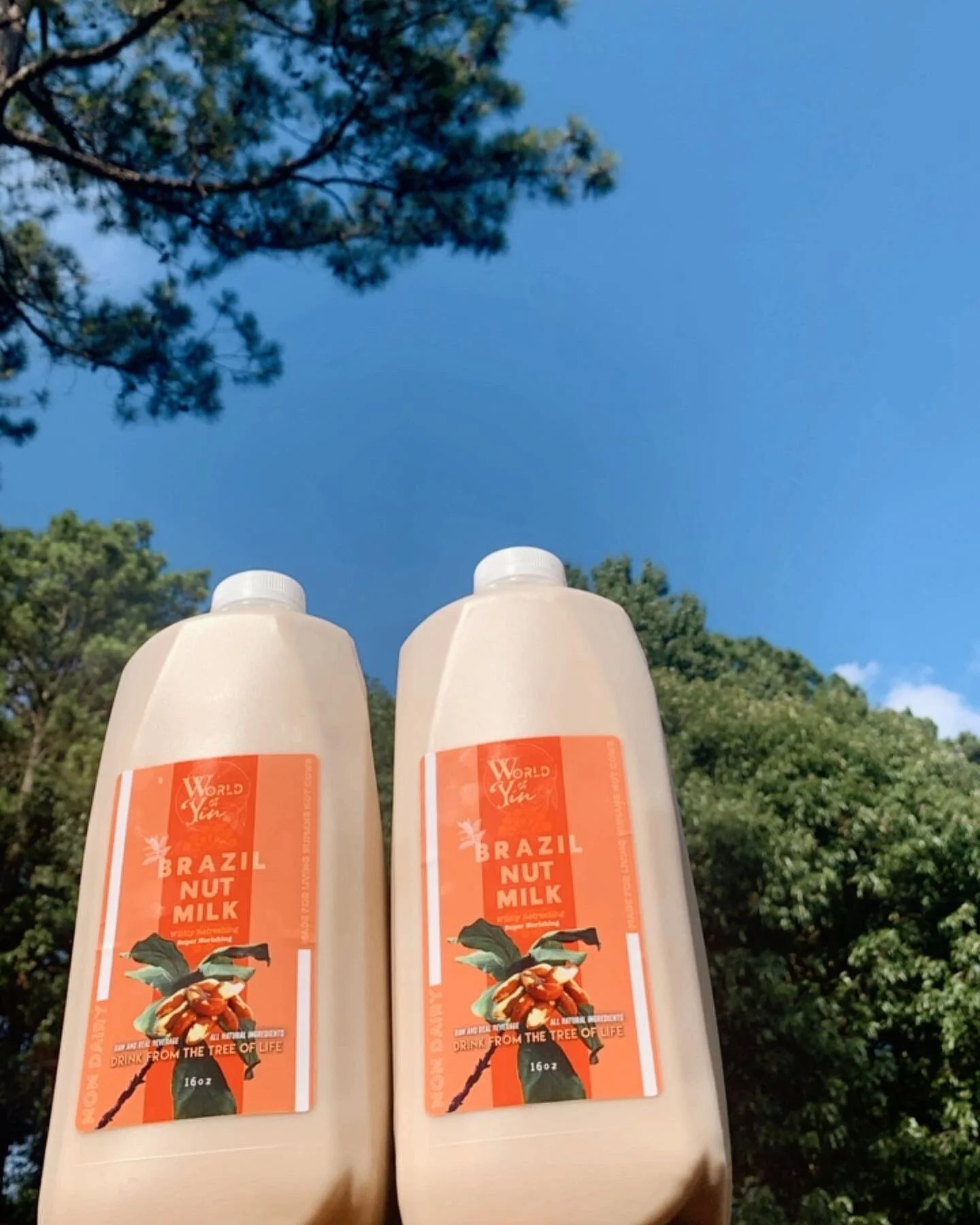 010236EB-46E2-4920-A2E6-B52CABF4451F