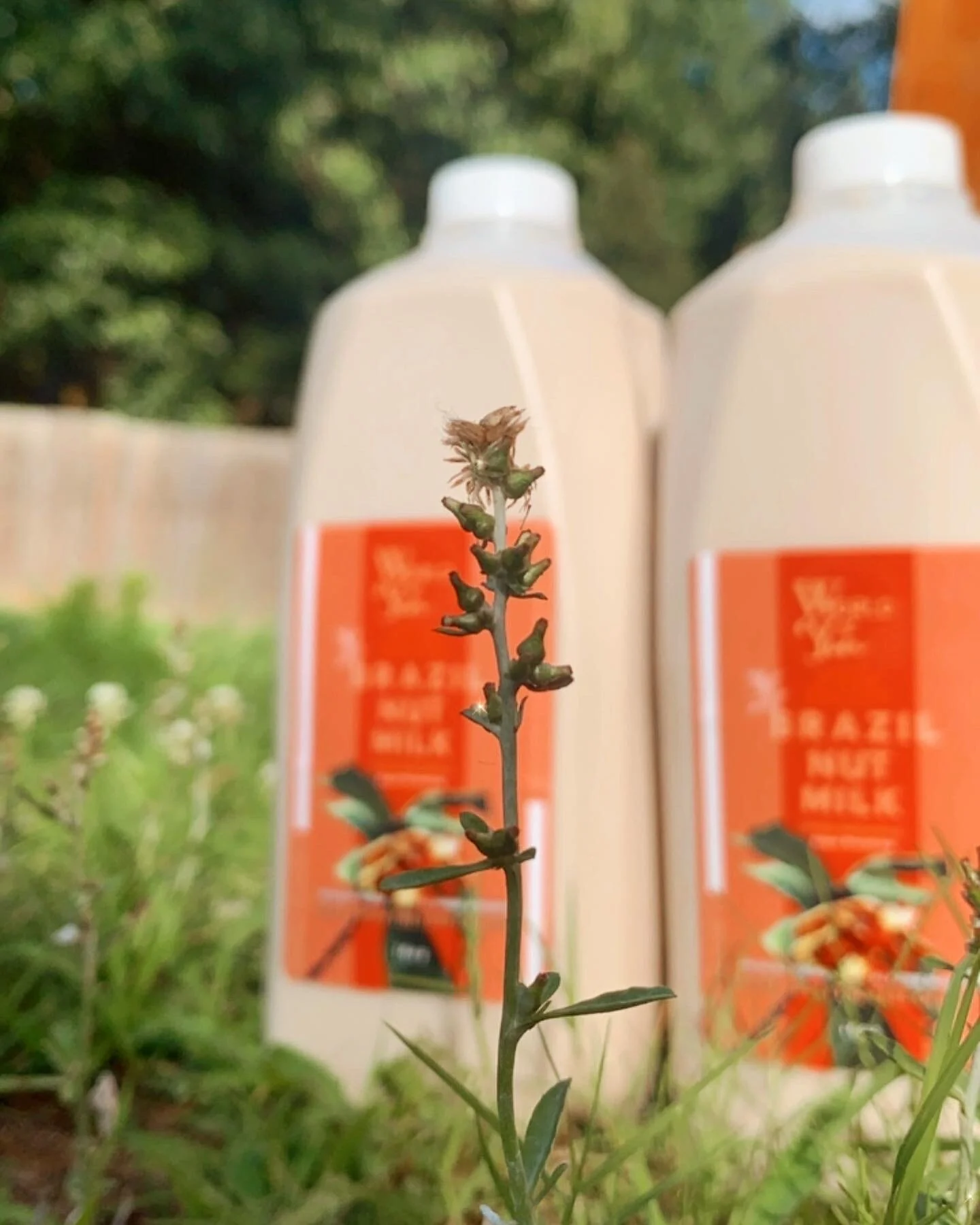 4F6AE255-58BC-46AA-9E18-6C1793587DAA