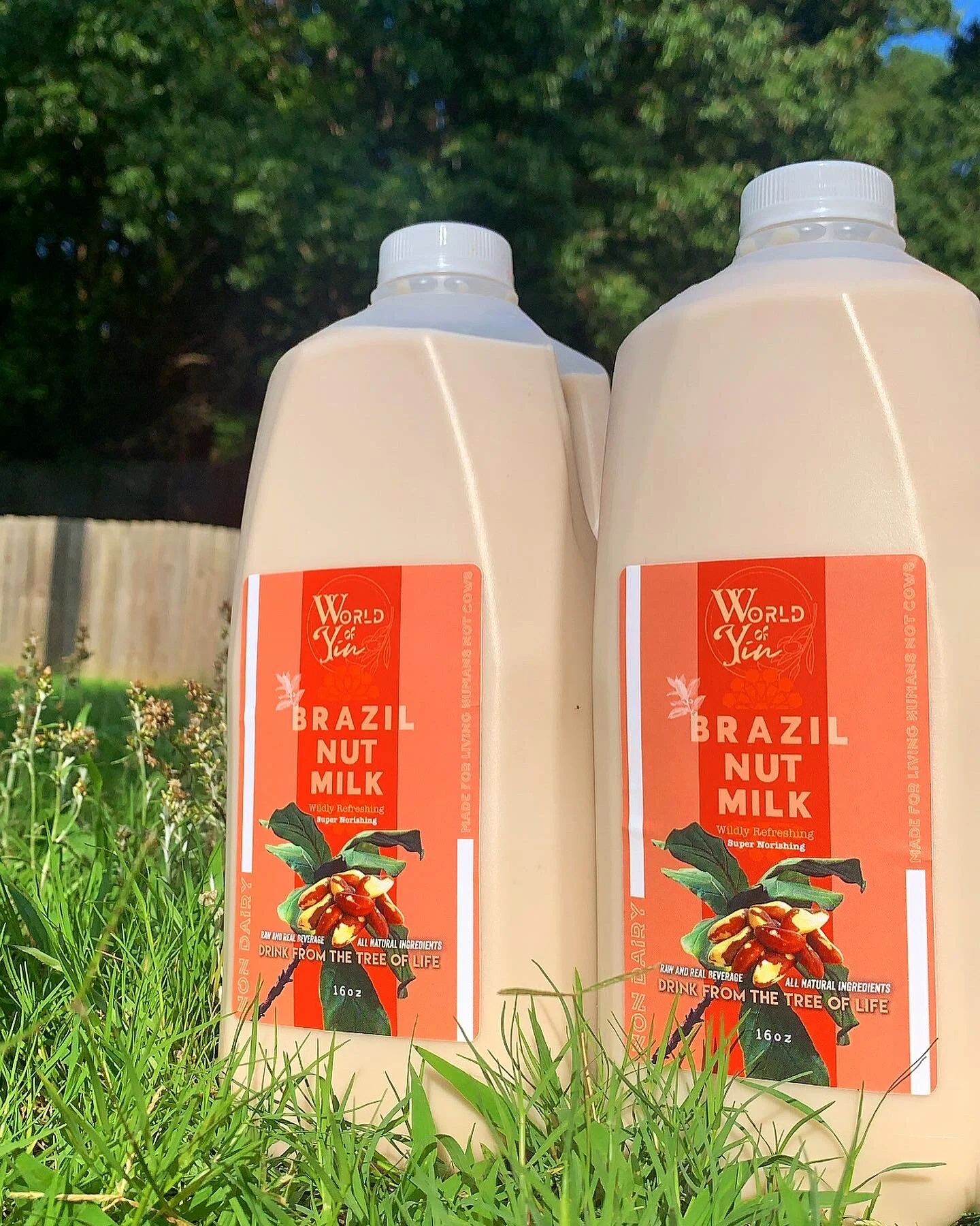 0FABF9E8-1E70-4A4A-AE69-36200CBBC418