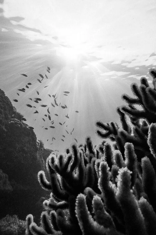 Book a private plane to Hamilton Island, Australia