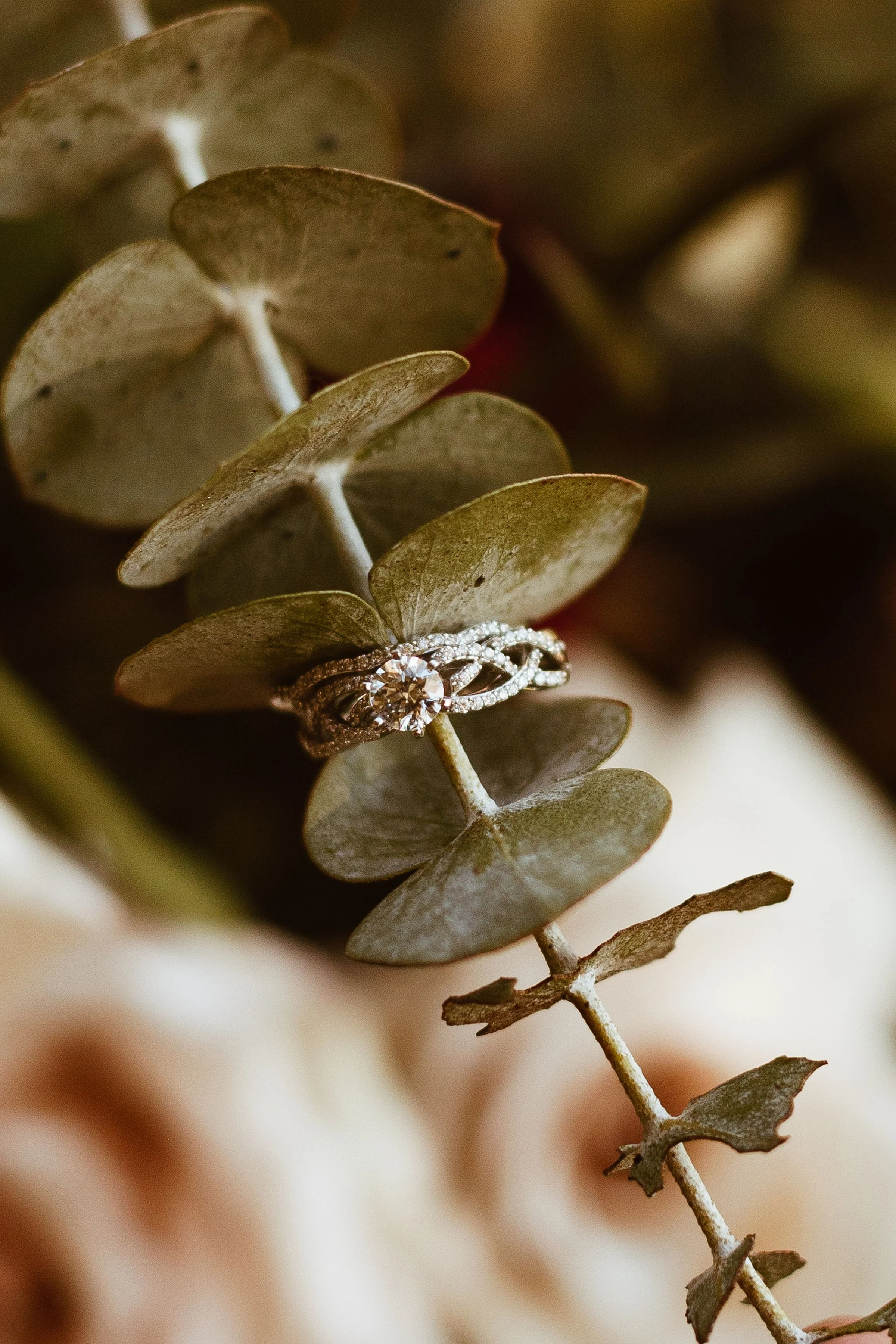 OliviaReedPhoto-181.jpg