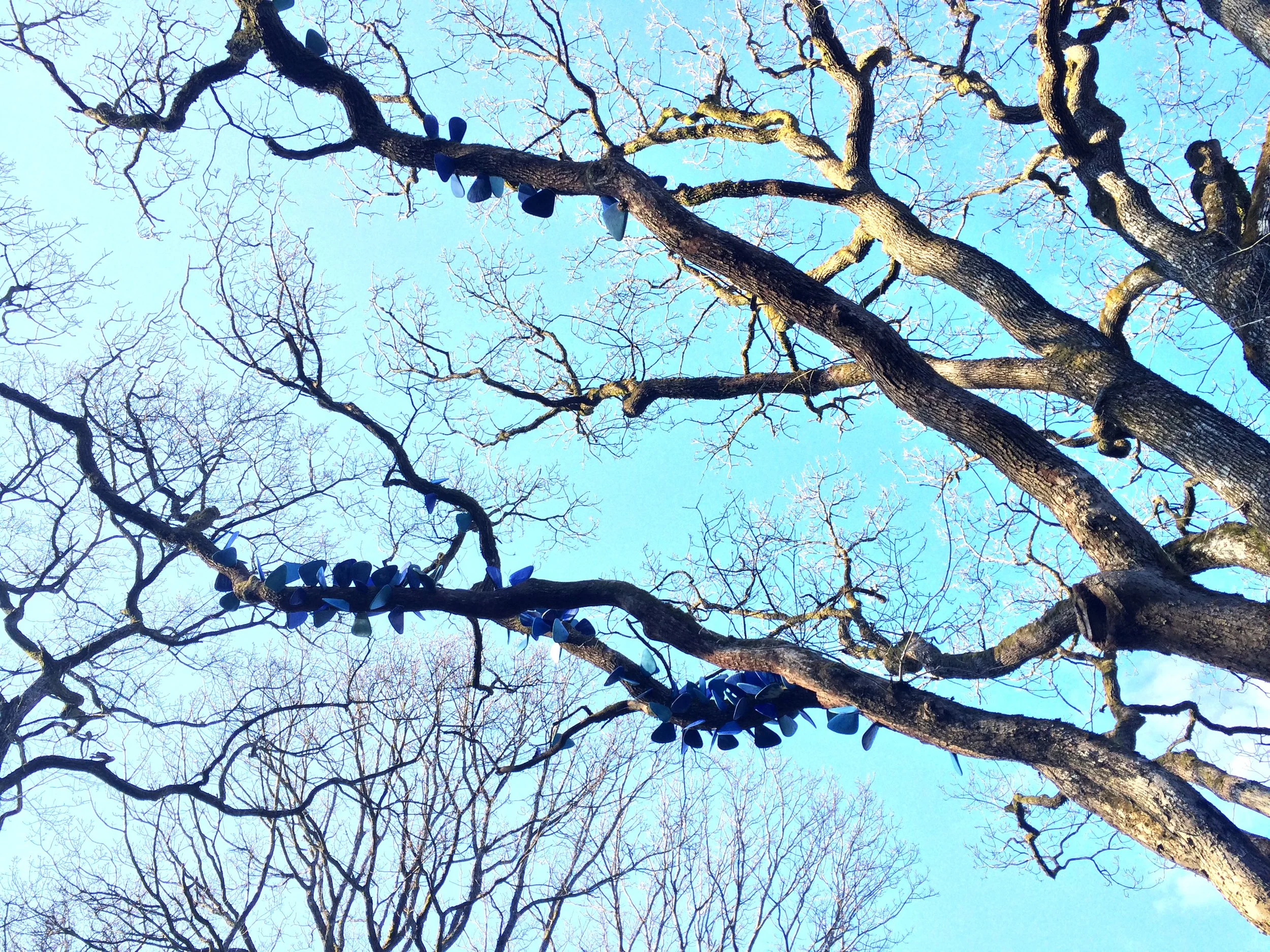 botanisk Gøteborg_vår.jpg