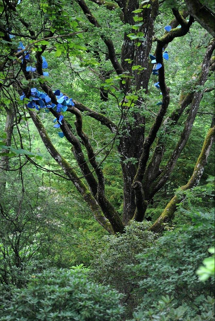 Screenshot 2022-05-30 at 09.29.49.png