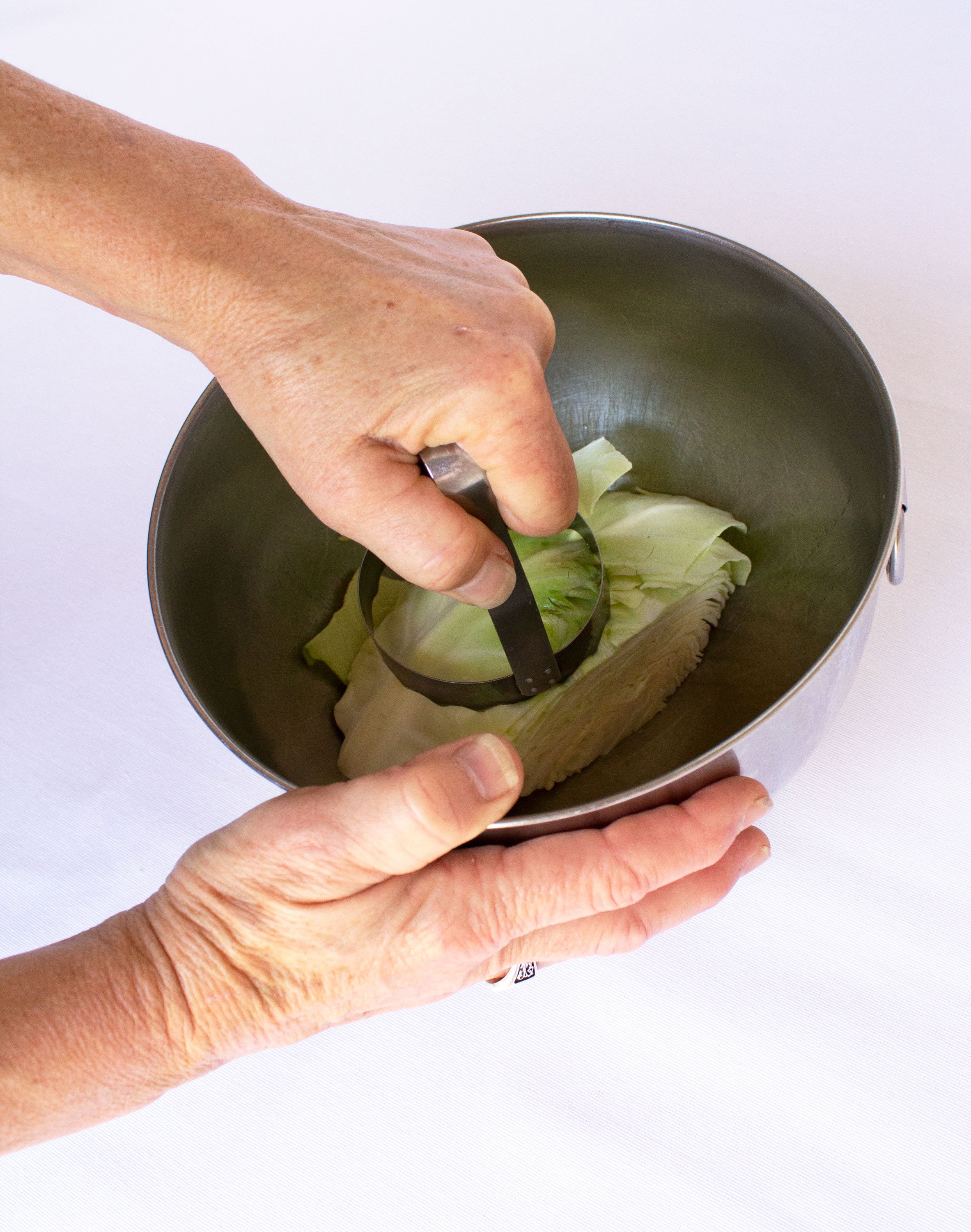 Cabbage Chopper — Haywood Snapshot Project