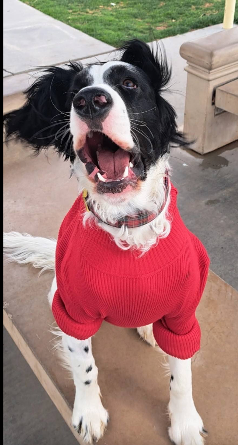 Screen Shot 2026-03-08 at 9.25.10 PM.png