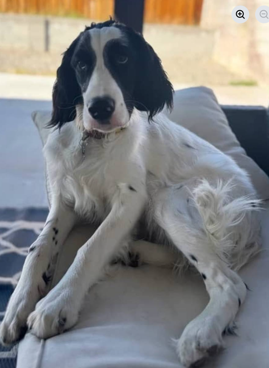 Screen Shot 2026-03-08 at 9.25.37 PM.png